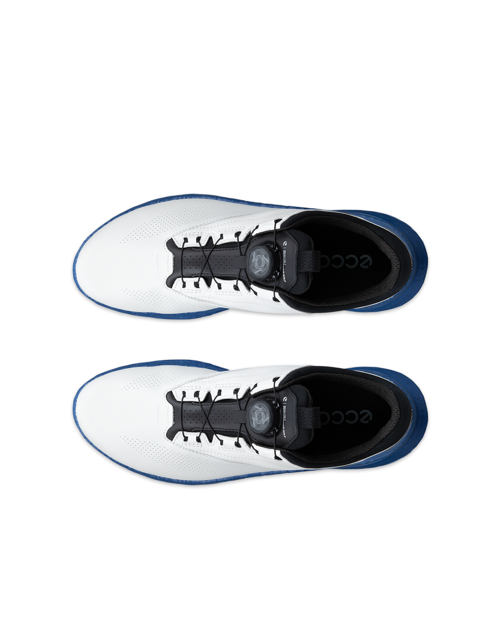 ECCO GOLF BIOM C5 Men メンズ レザーGore-Texゴルフシューズ | ホワイト