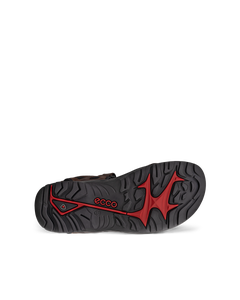 ECCO Offroad — Brown 5