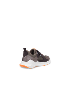 ECCO BIOM 2.2 — Brown 3