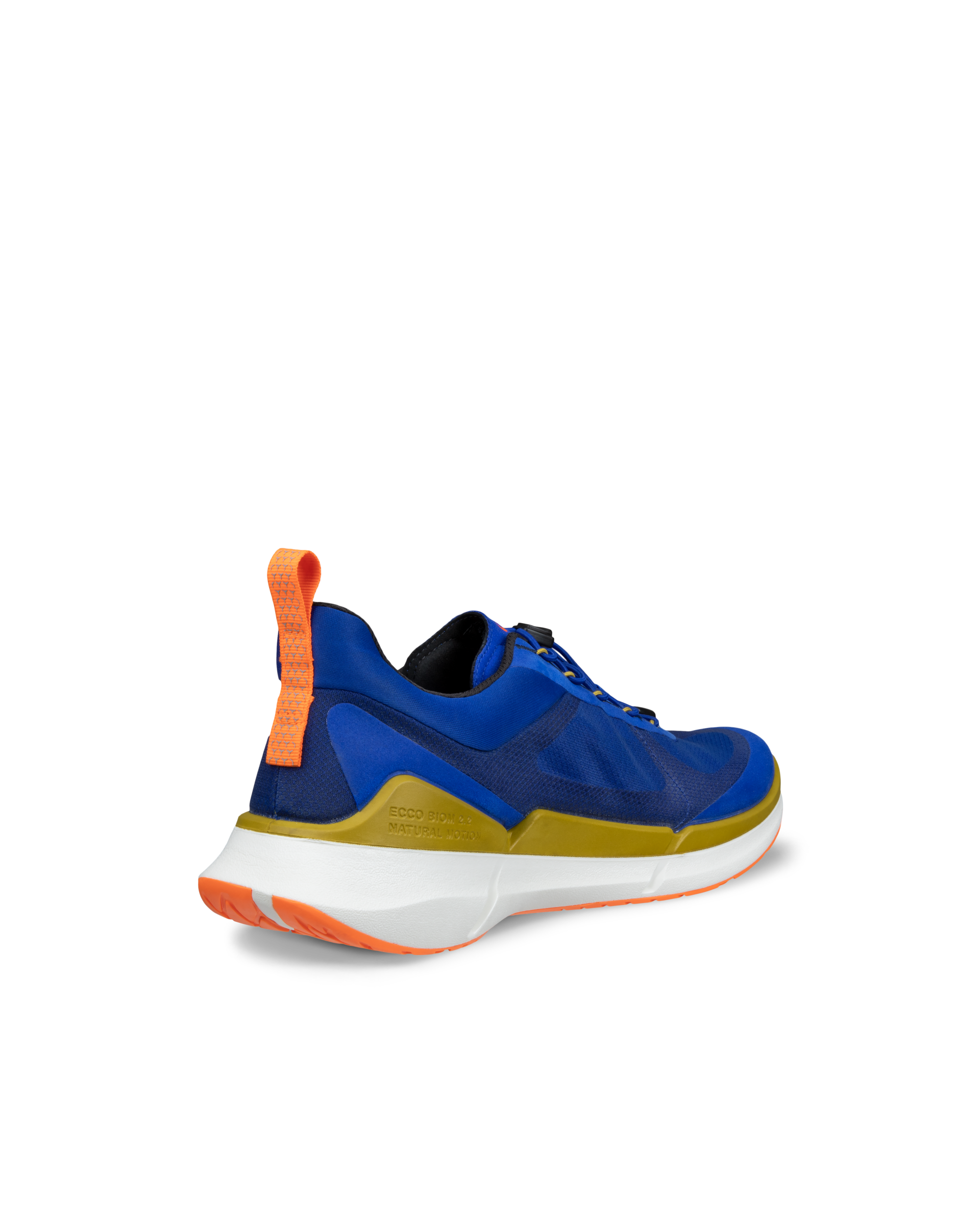 ECCO BIOM 2.2 — Blue