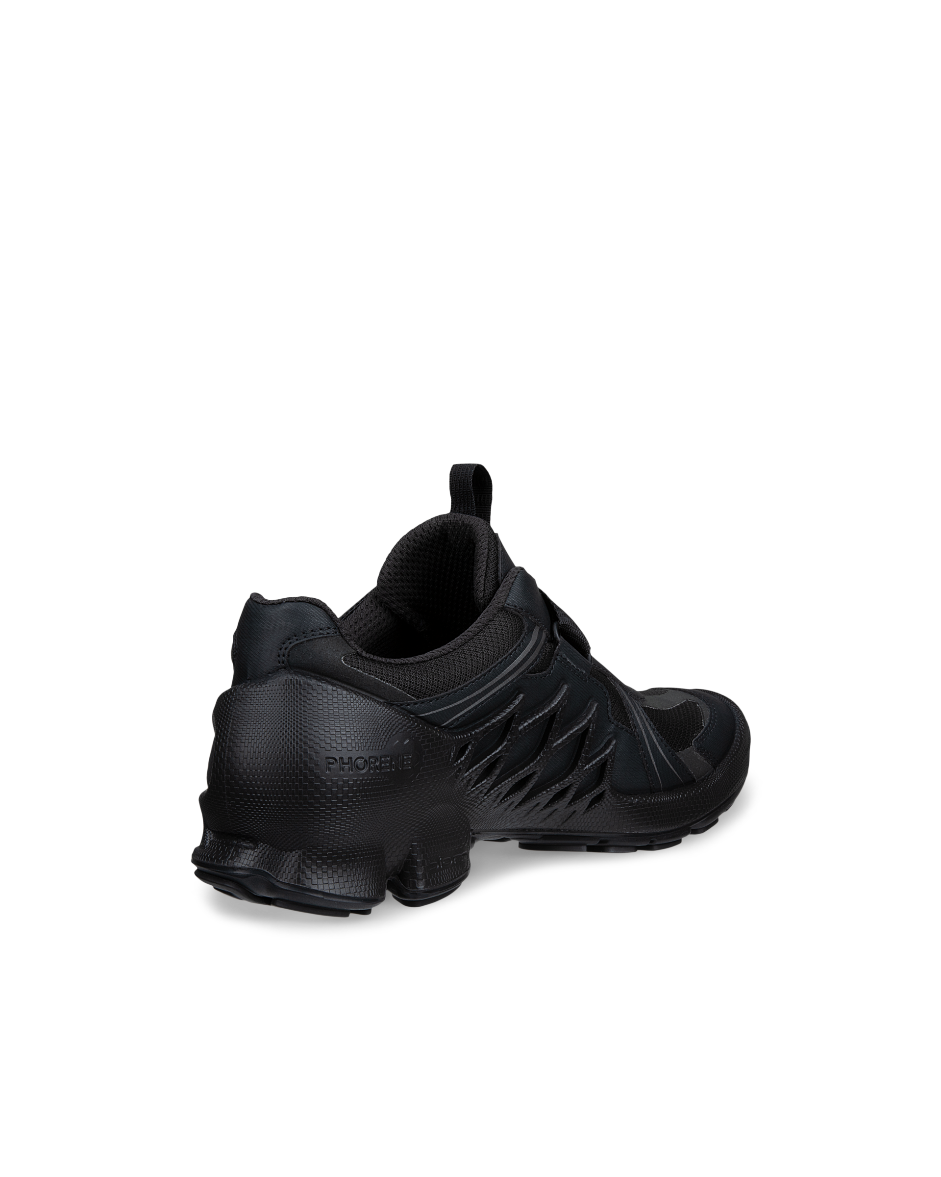 ECCO BIOM AEX — Black