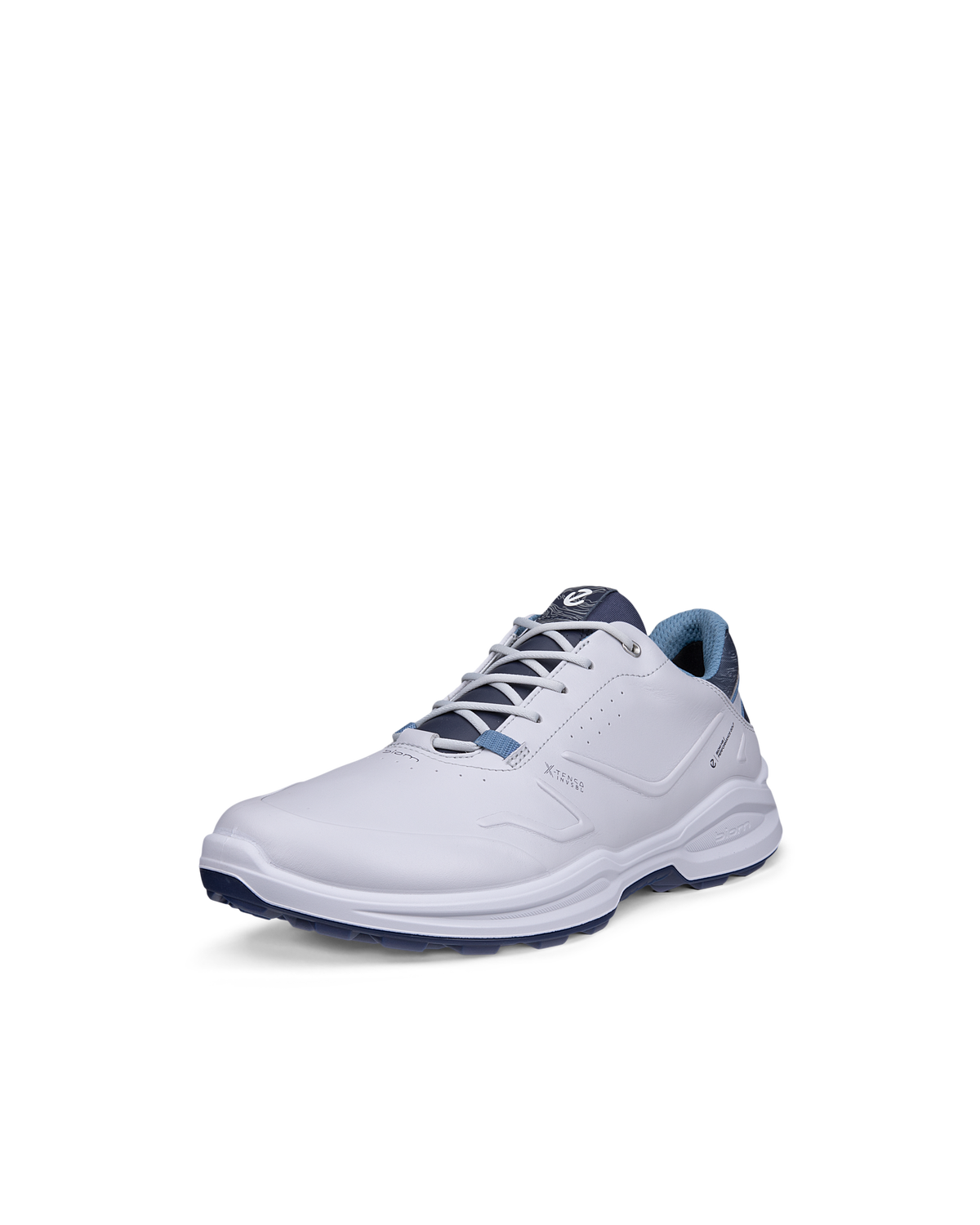 ECCO Golf Biom H6 — Gray