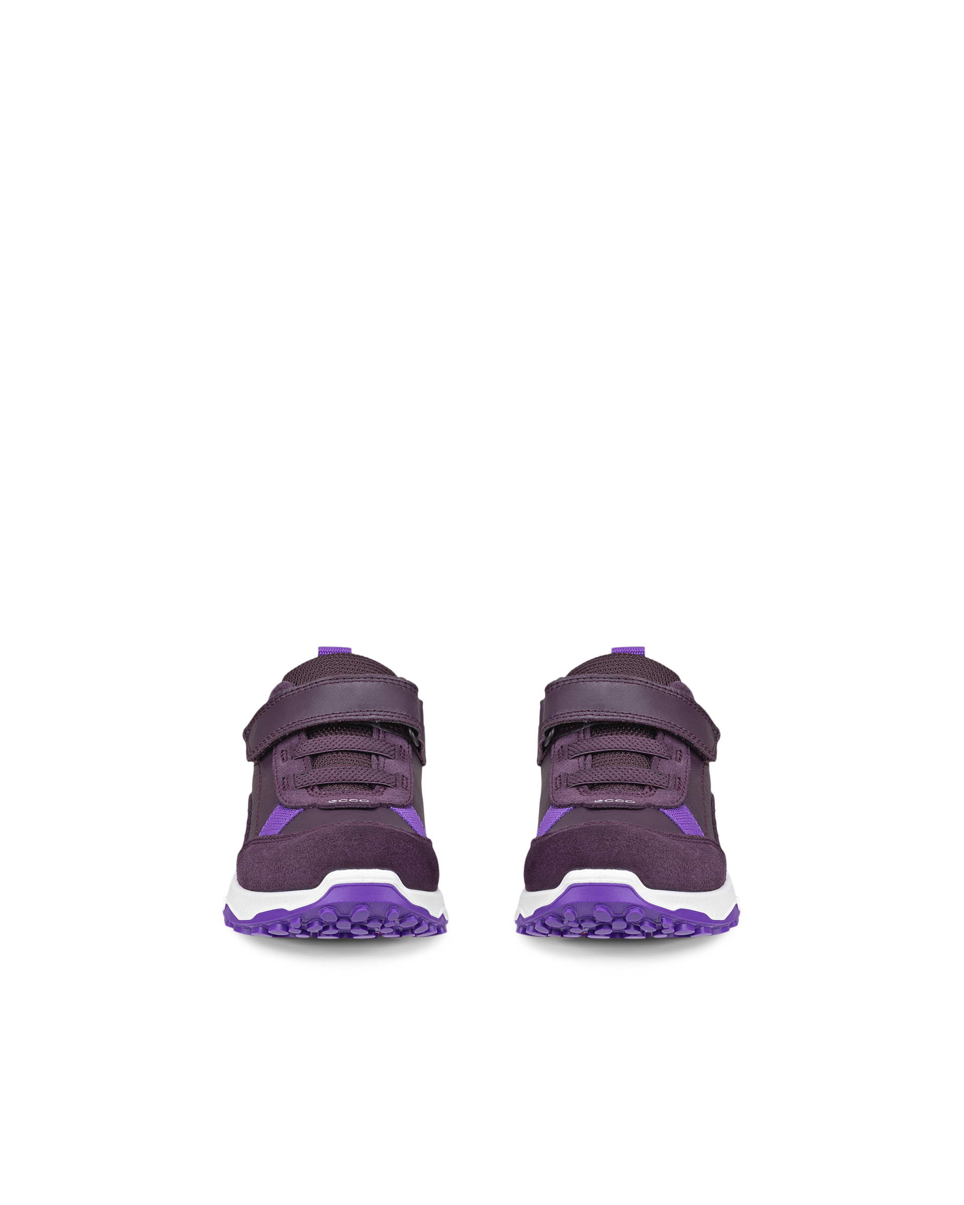 ECCO RECEPTOR XP — Purple