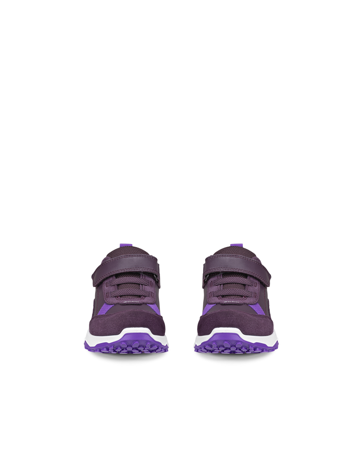 ECCO RECEPTOR XP — Purple