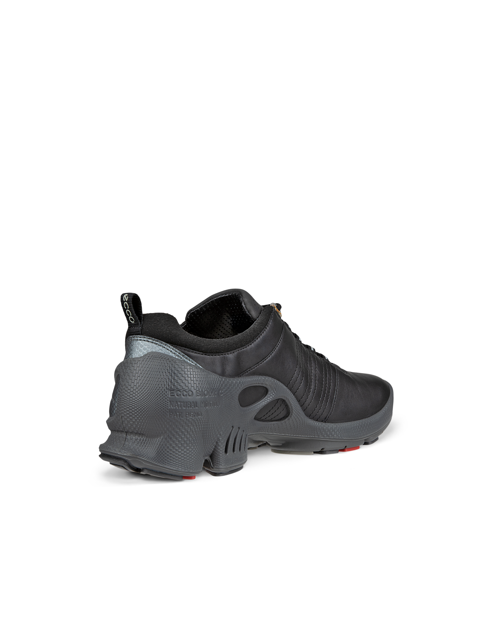 ECCO BIOM C — Black