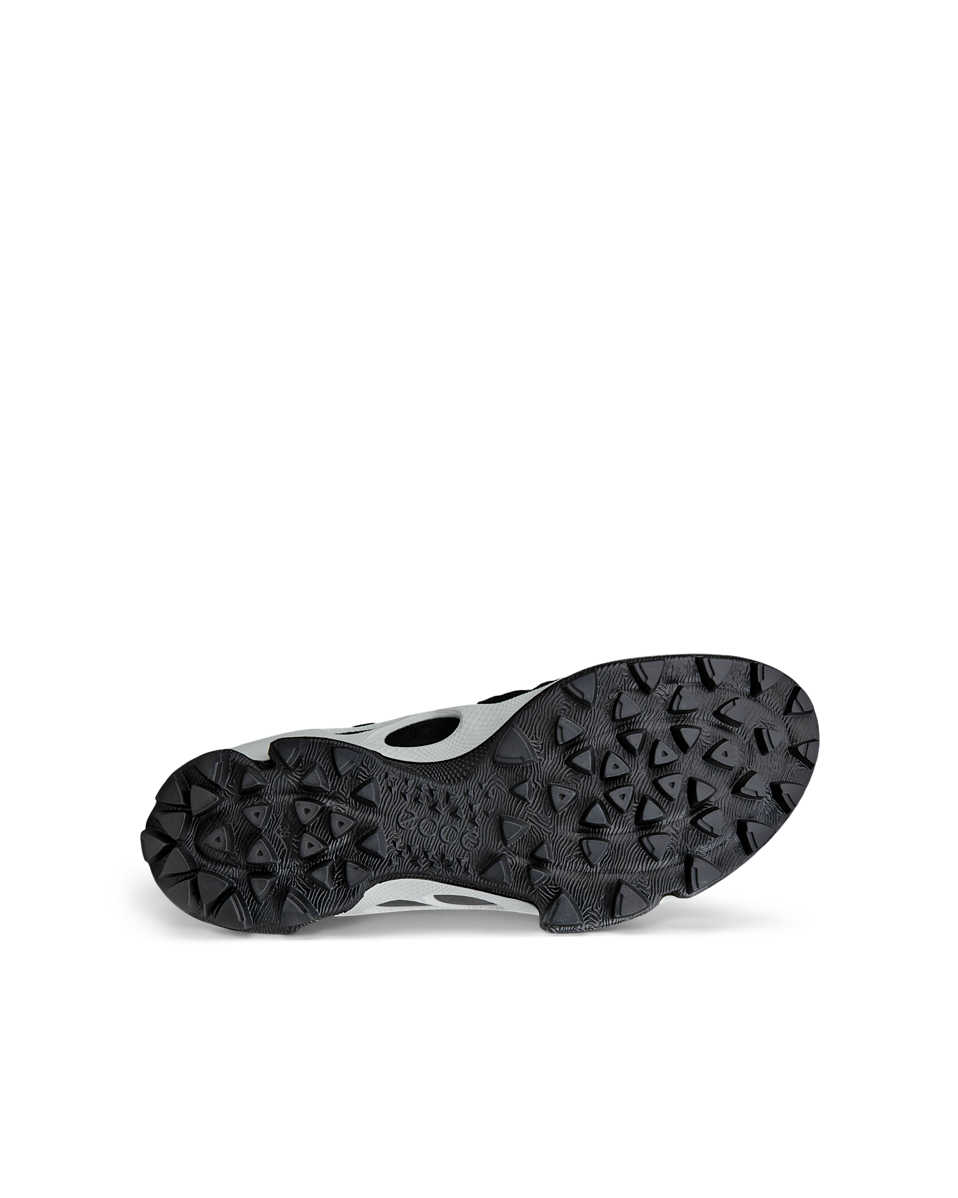 ECCO BIOM C-TRAIL — Black