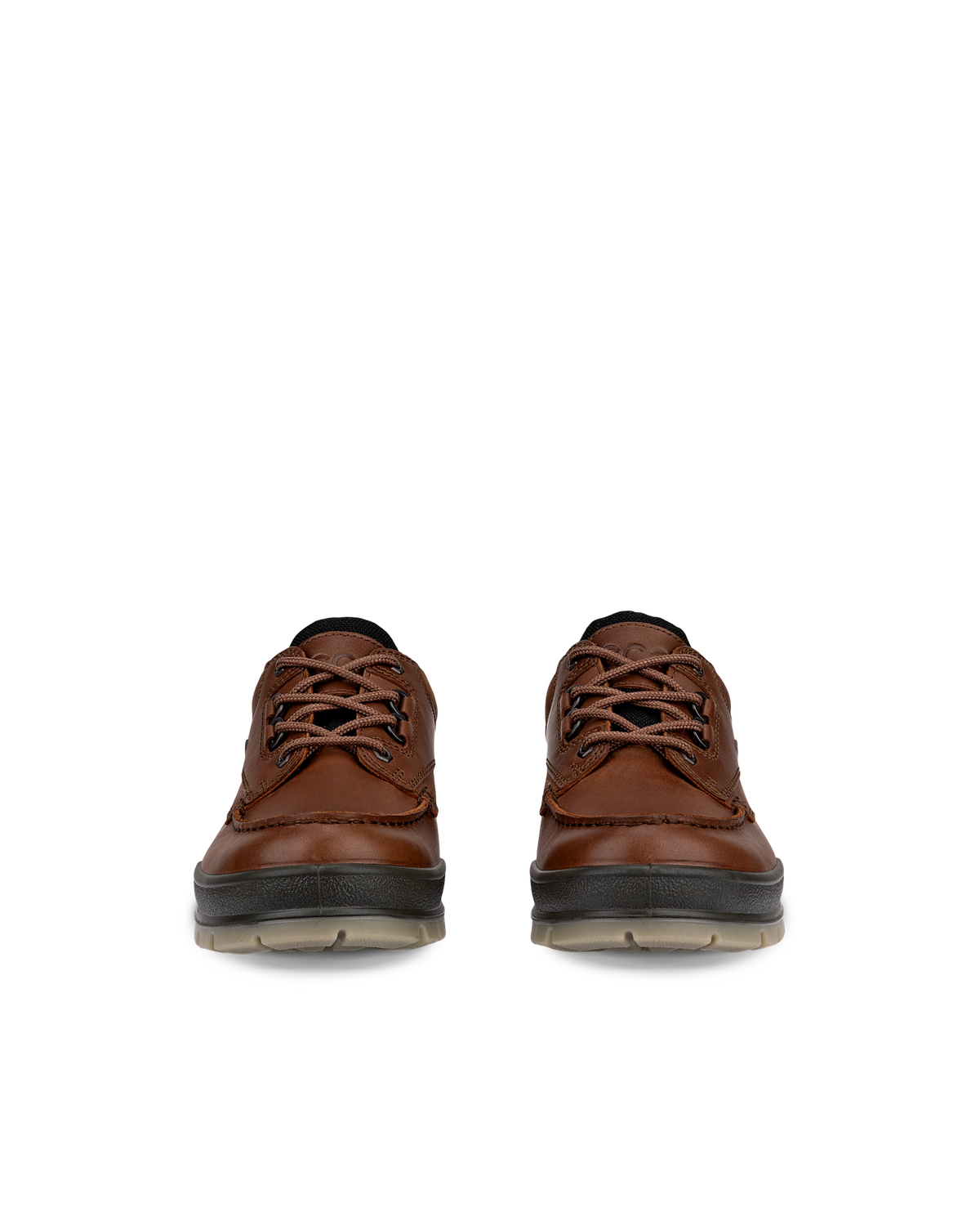 ECCO Track 25 — Brown