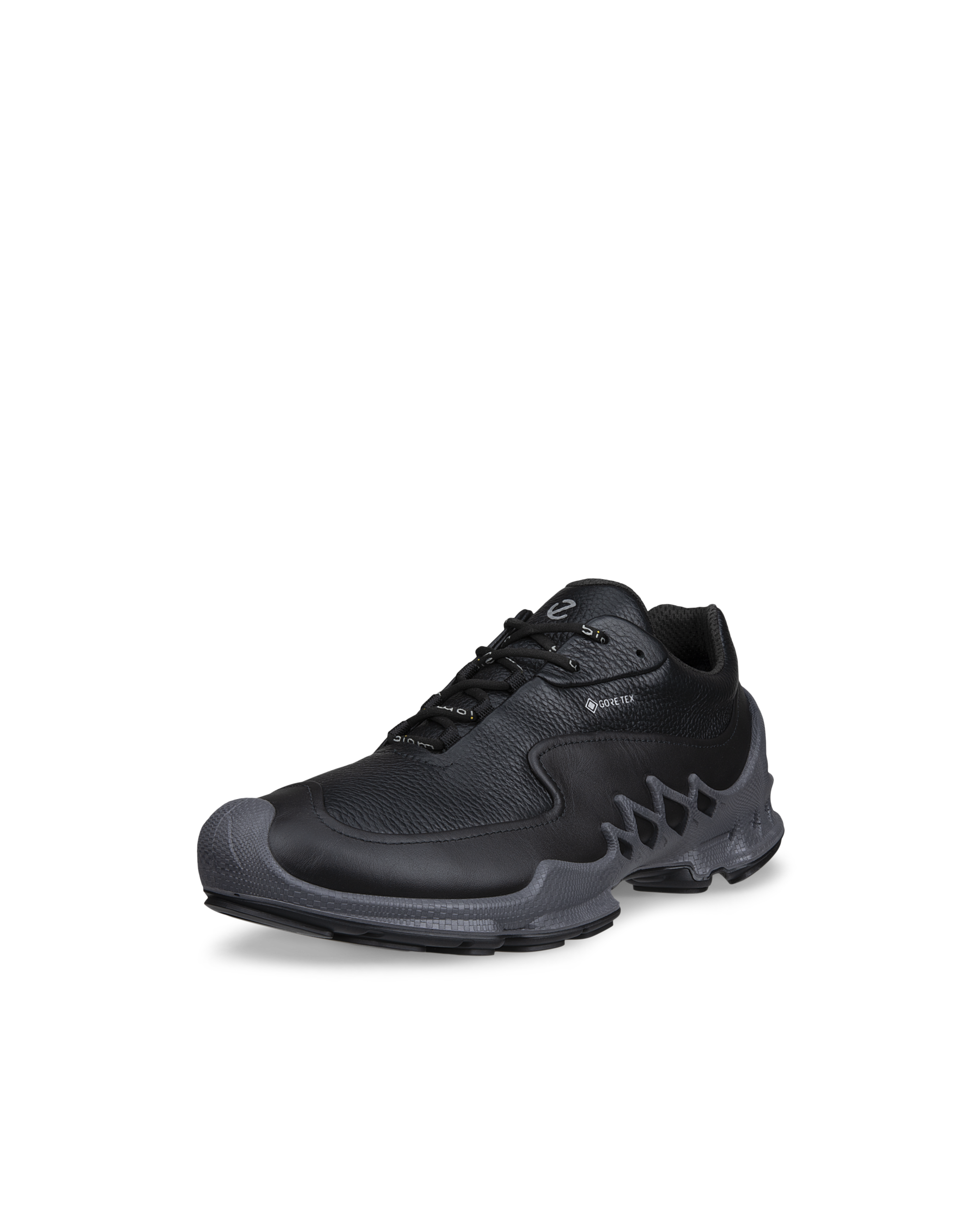 ECCO Biom Aex — Black (alternate view)