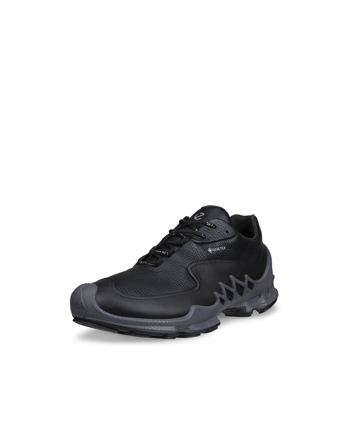 ECCO Biom Aex — Black