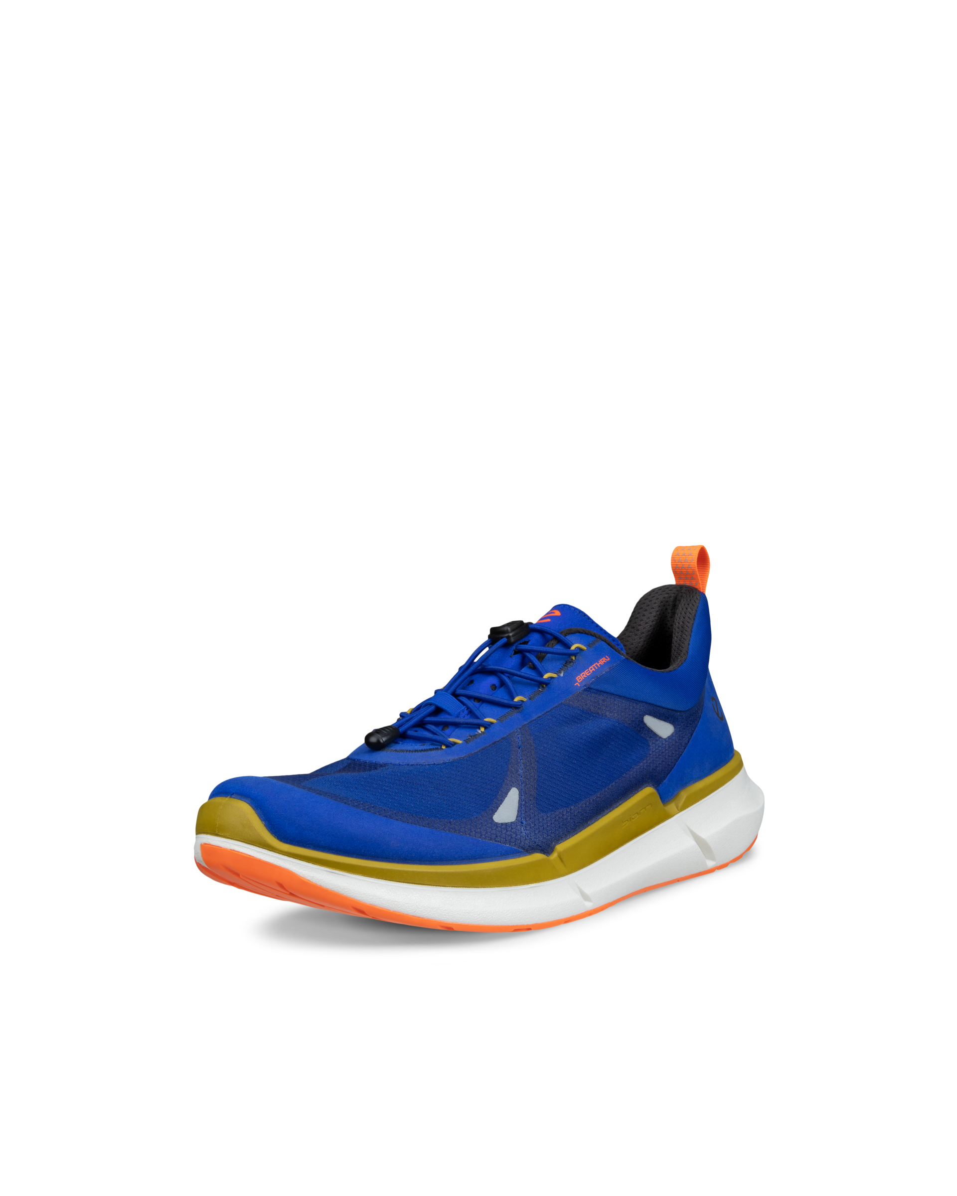 ECCO BIOM 2.2 — Blue