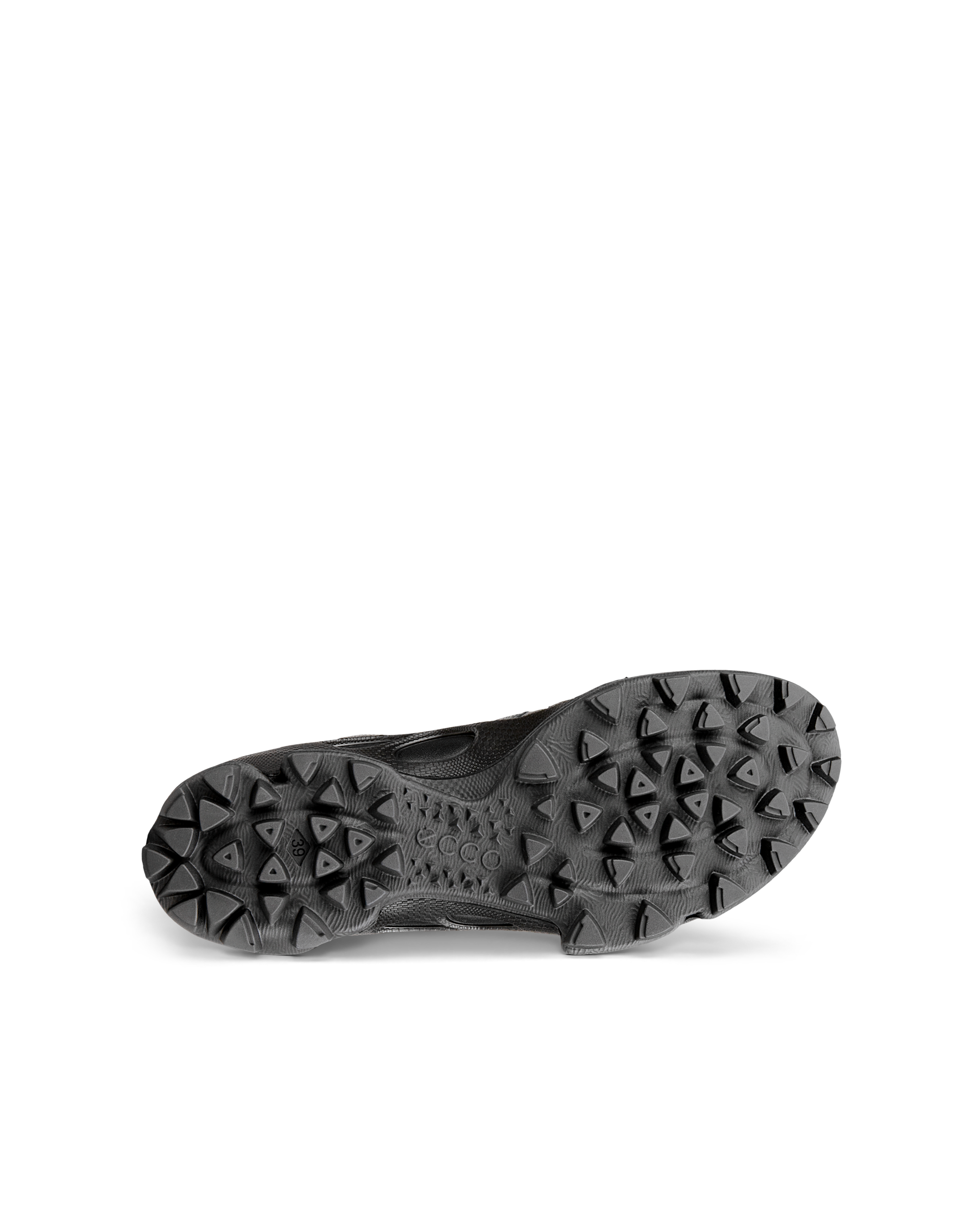 ECCO BIOM C-TRAIL — Black