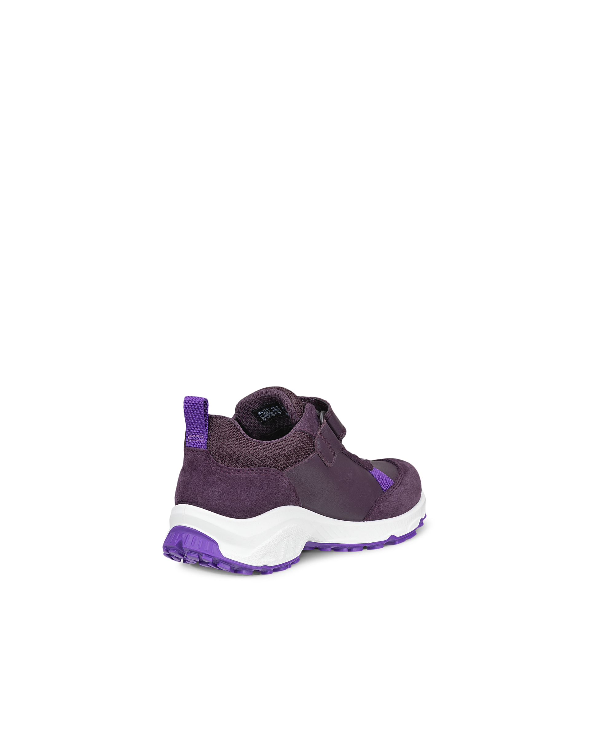 ECCO RECEPTOR XP — Purple