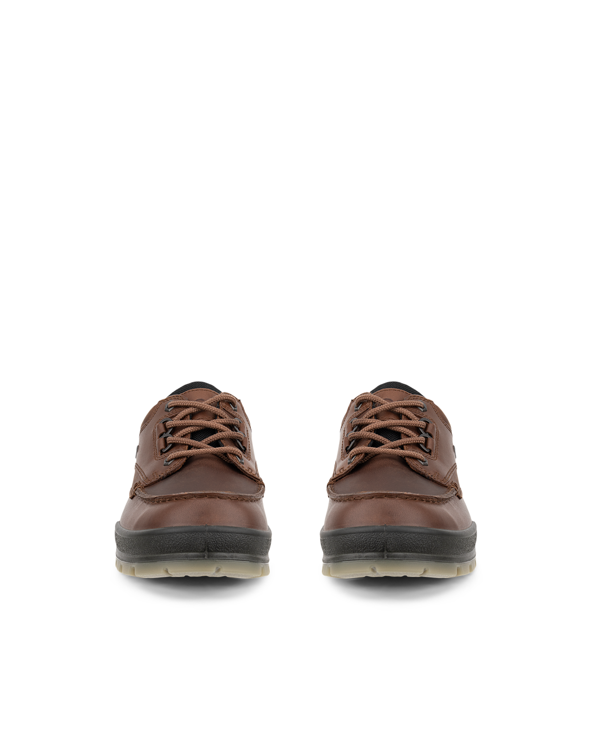 ECCO Track 25 — Brown