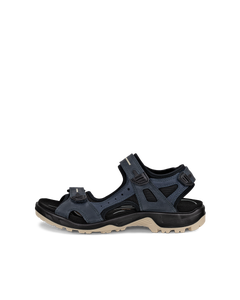ECCO Offroad — Blue 1