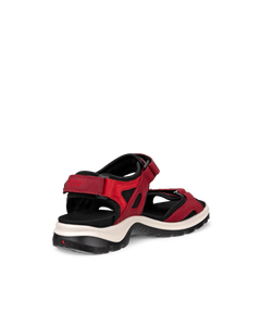 ECCO Offroad — Red 4