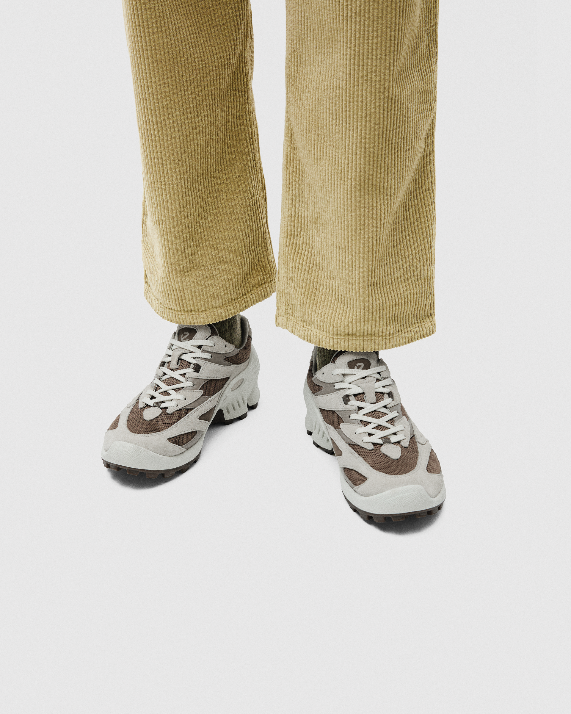 ECCO BIOM C-TRAIL — Brown