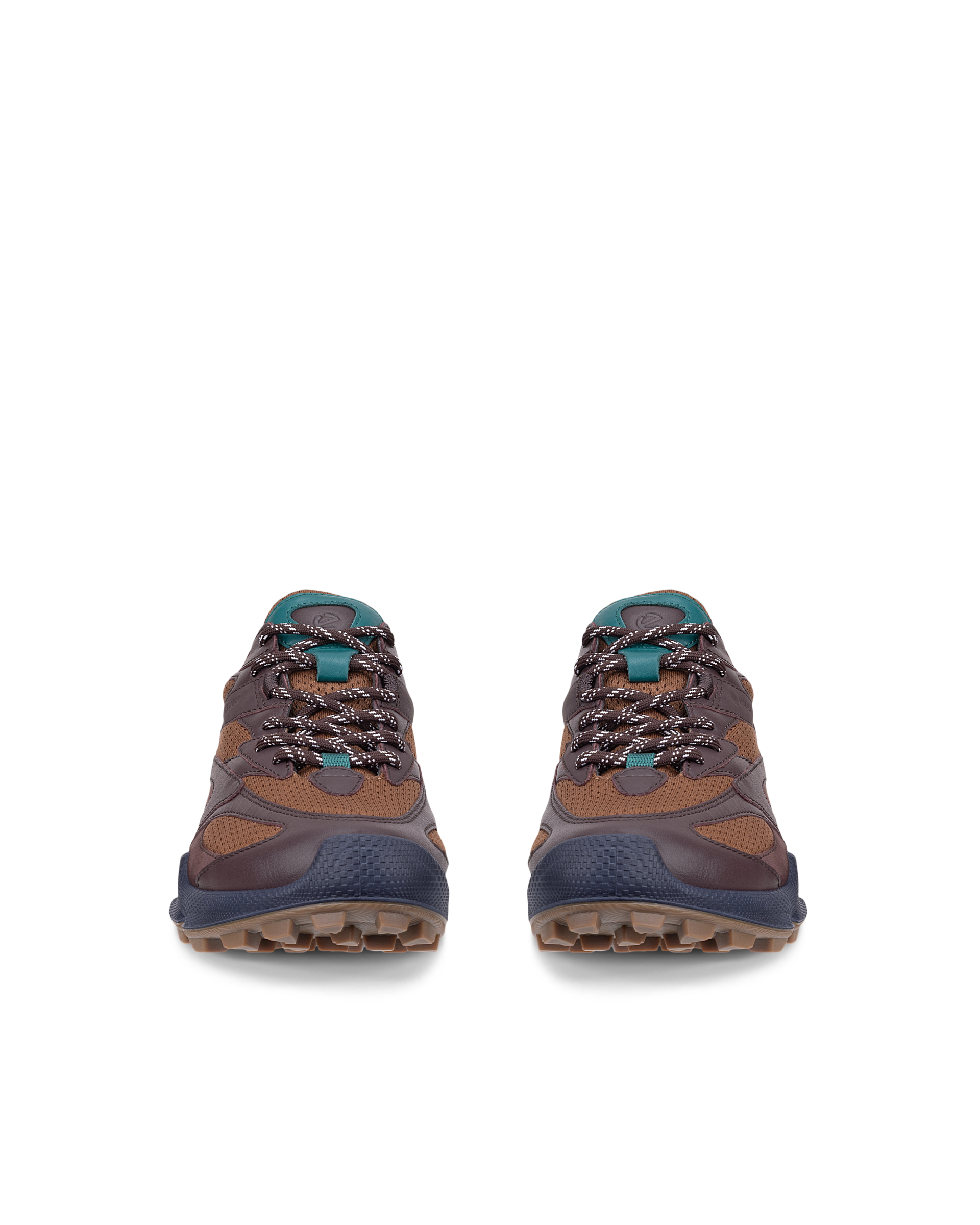 ECCO BIOM C-TRAIL — Brown