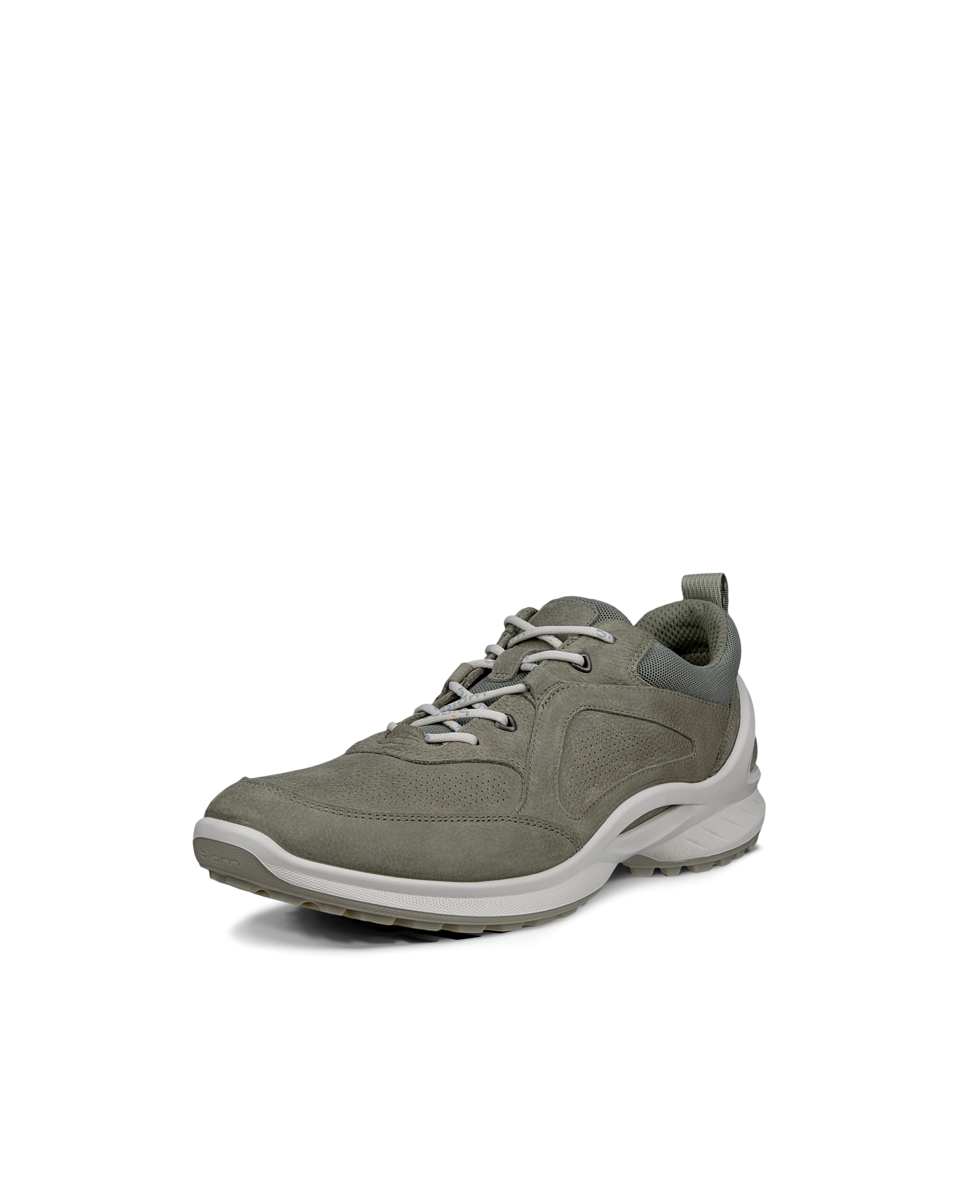ECCO BIOM ENERGI — Green