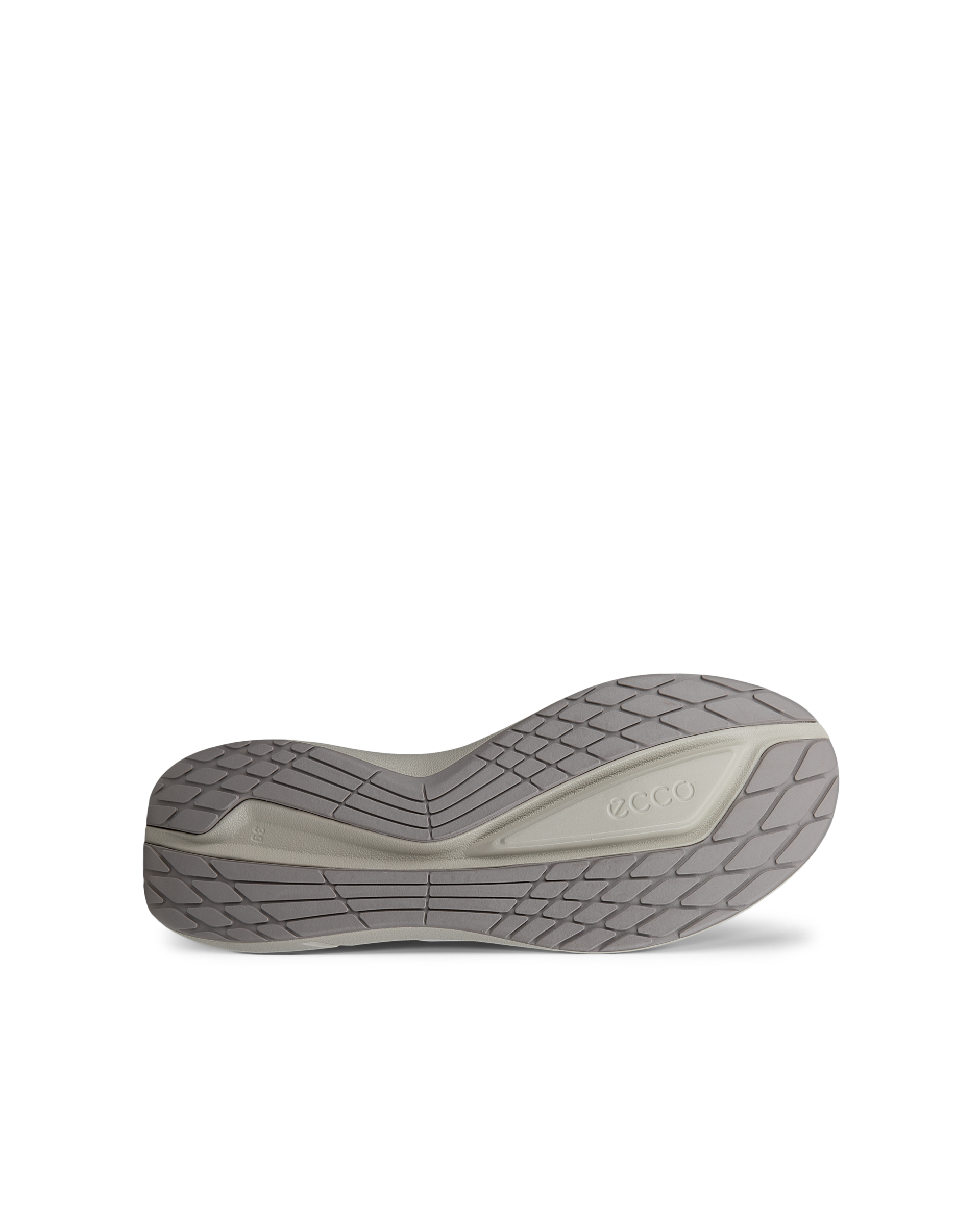 ECCO BIOM 2.2 — Grey
