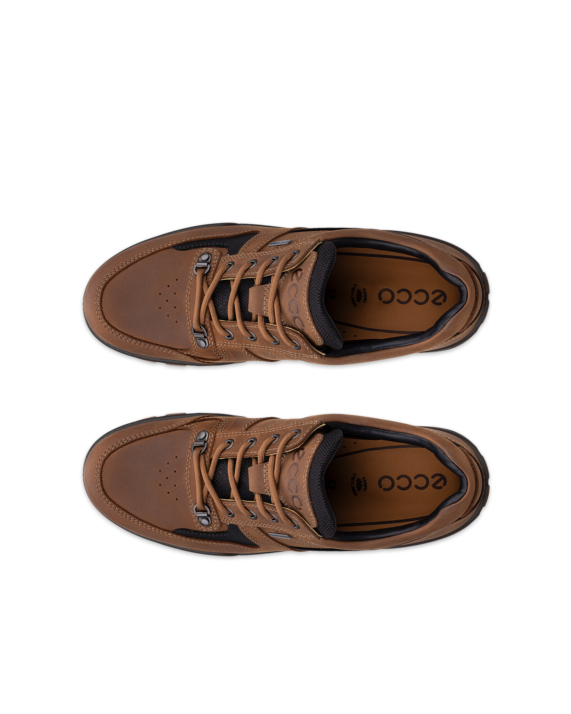 ECCO Track 25 — Brown