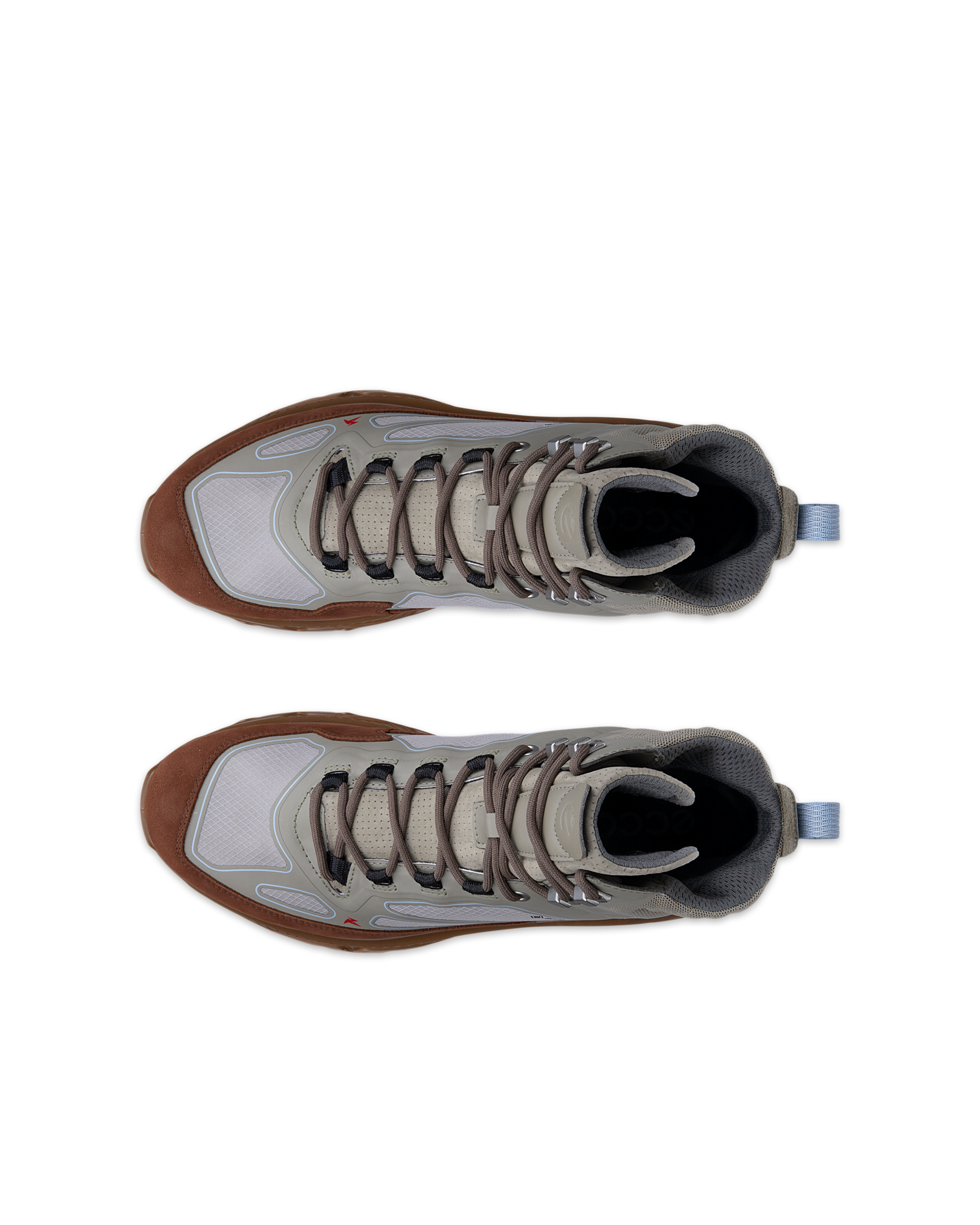 ECCO Receptor Xp — Green