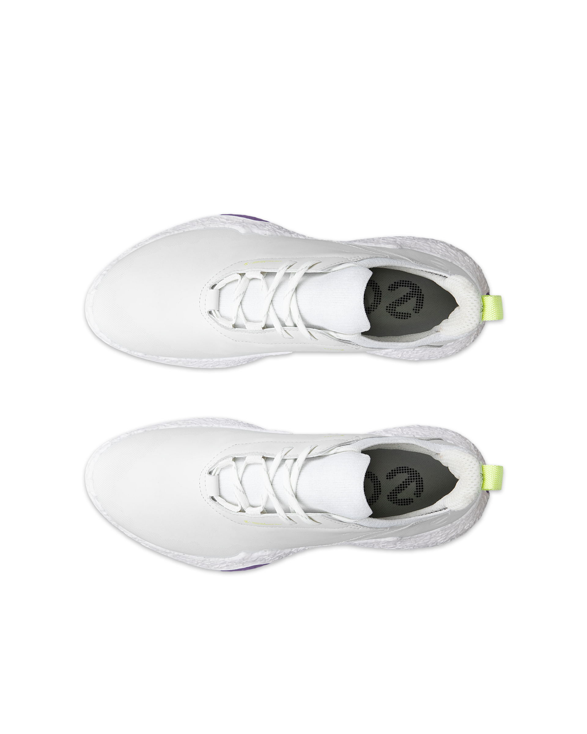 ECCO GOLF BIOM H5 — White