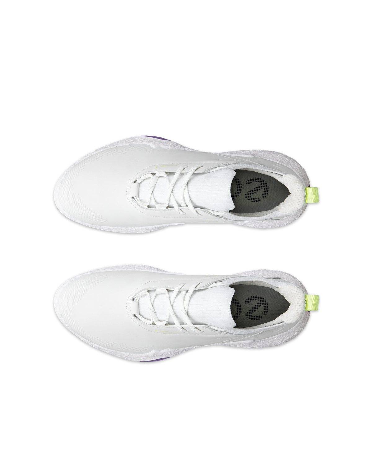 ECCO GOLF BIOM H5 — White