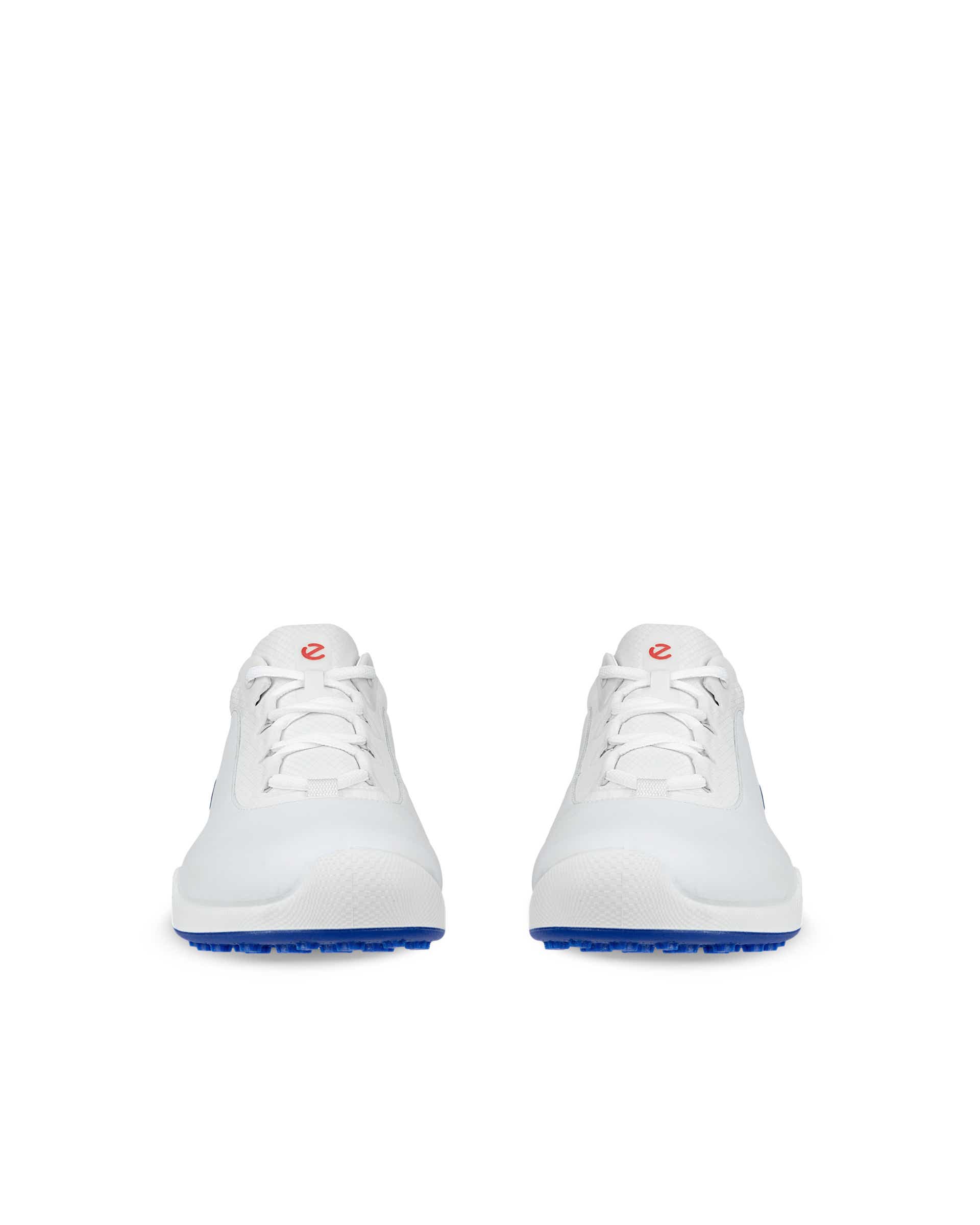 新品　ECCO BIOM GOLF SHOE 14 ホワイト 36 Men's ECCO® Golf Biom Hybrid 3 Leather Golf Shoe | White