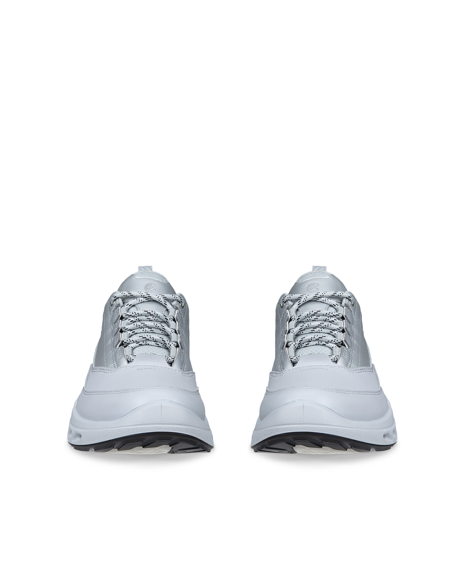 ECCO Biom 720 Gore-Tex — Gray