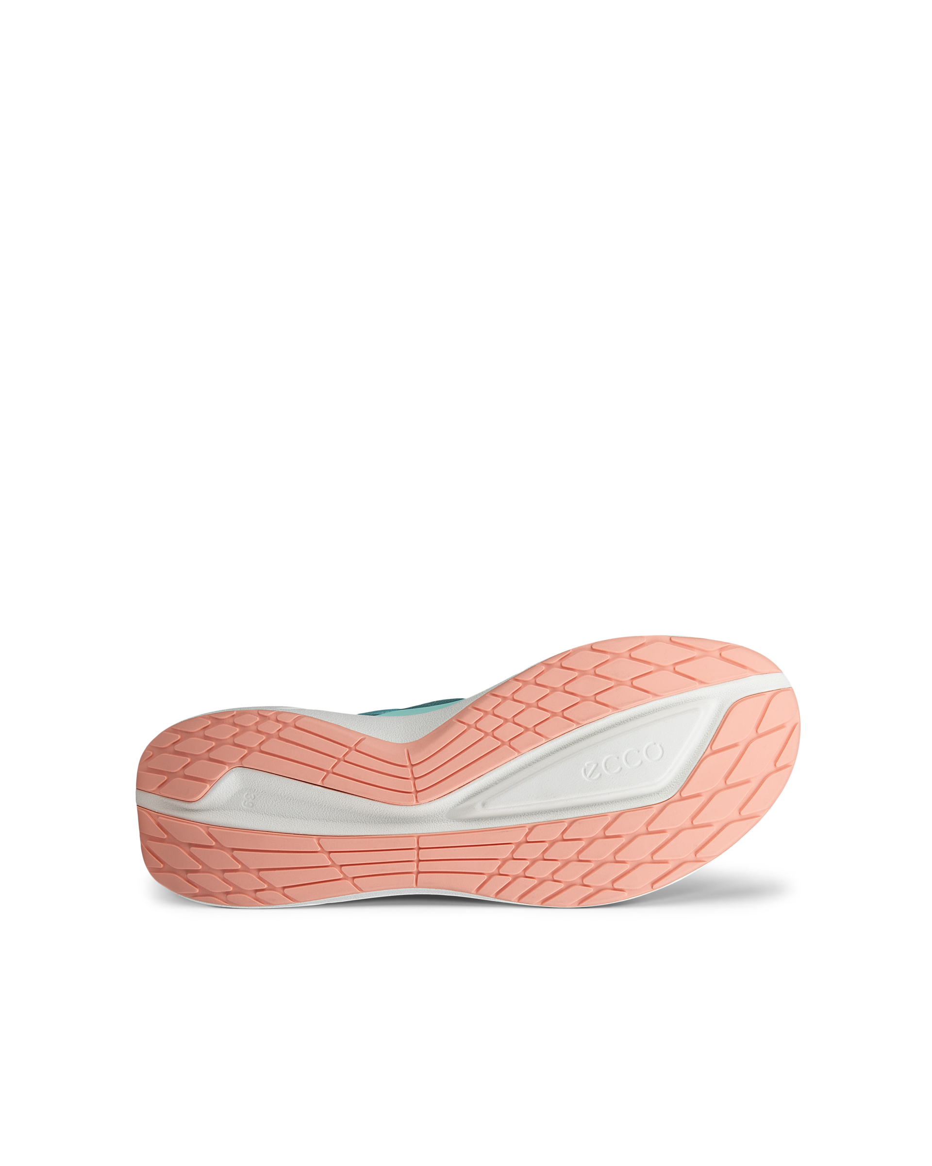 ECCO BIOM 2.2 — Blue