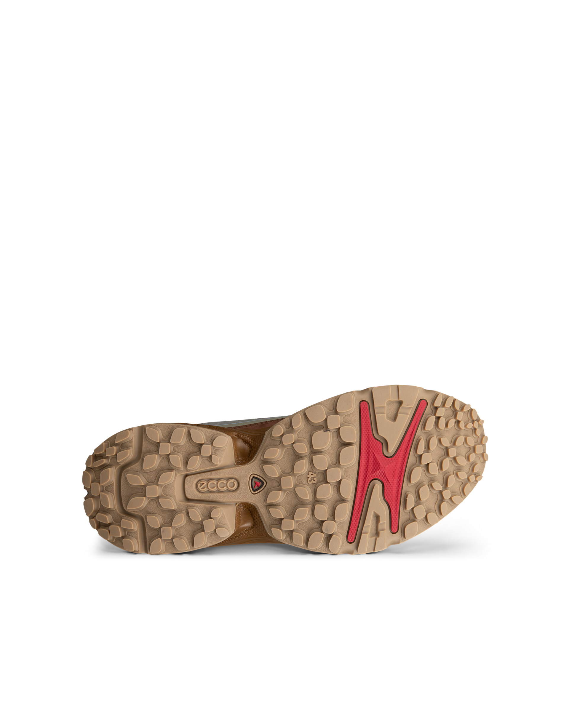ECCO Receptor XP — Green