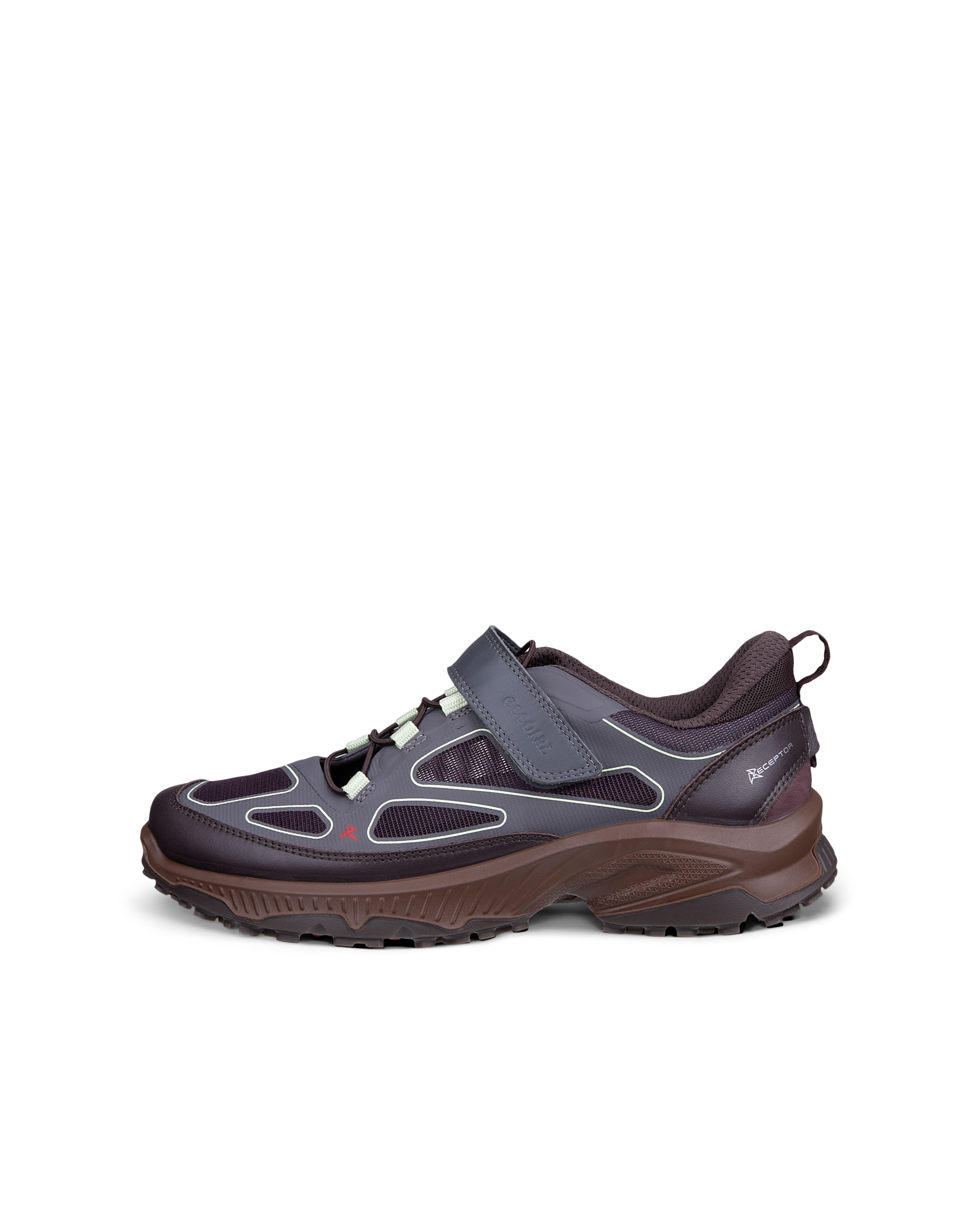 ECCO Receptor Xp — Gray