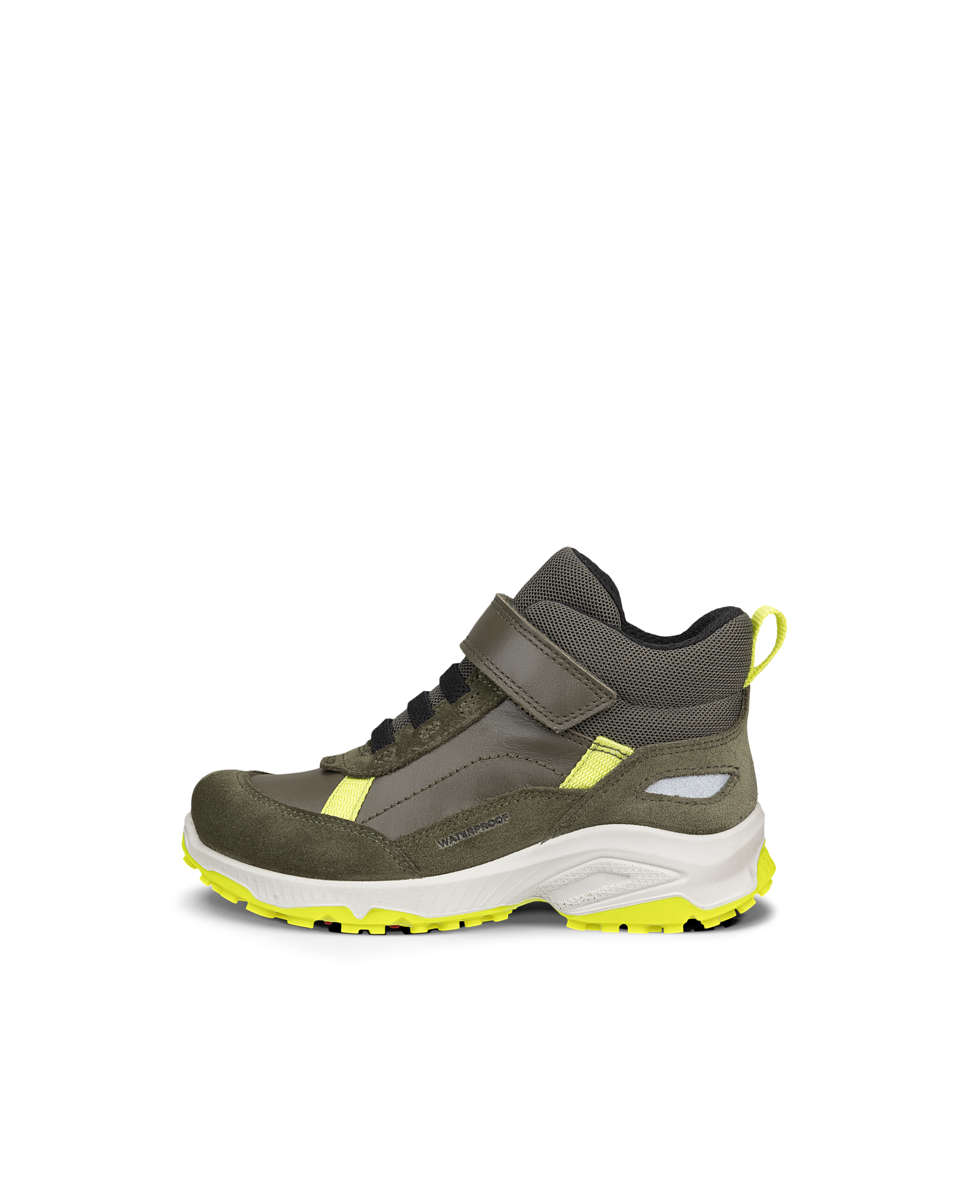 ECCO RECEPTOR XP — Green