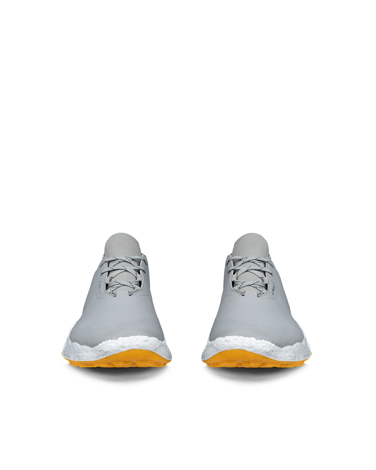 ECCO GOLF BIOM H5 — Grey