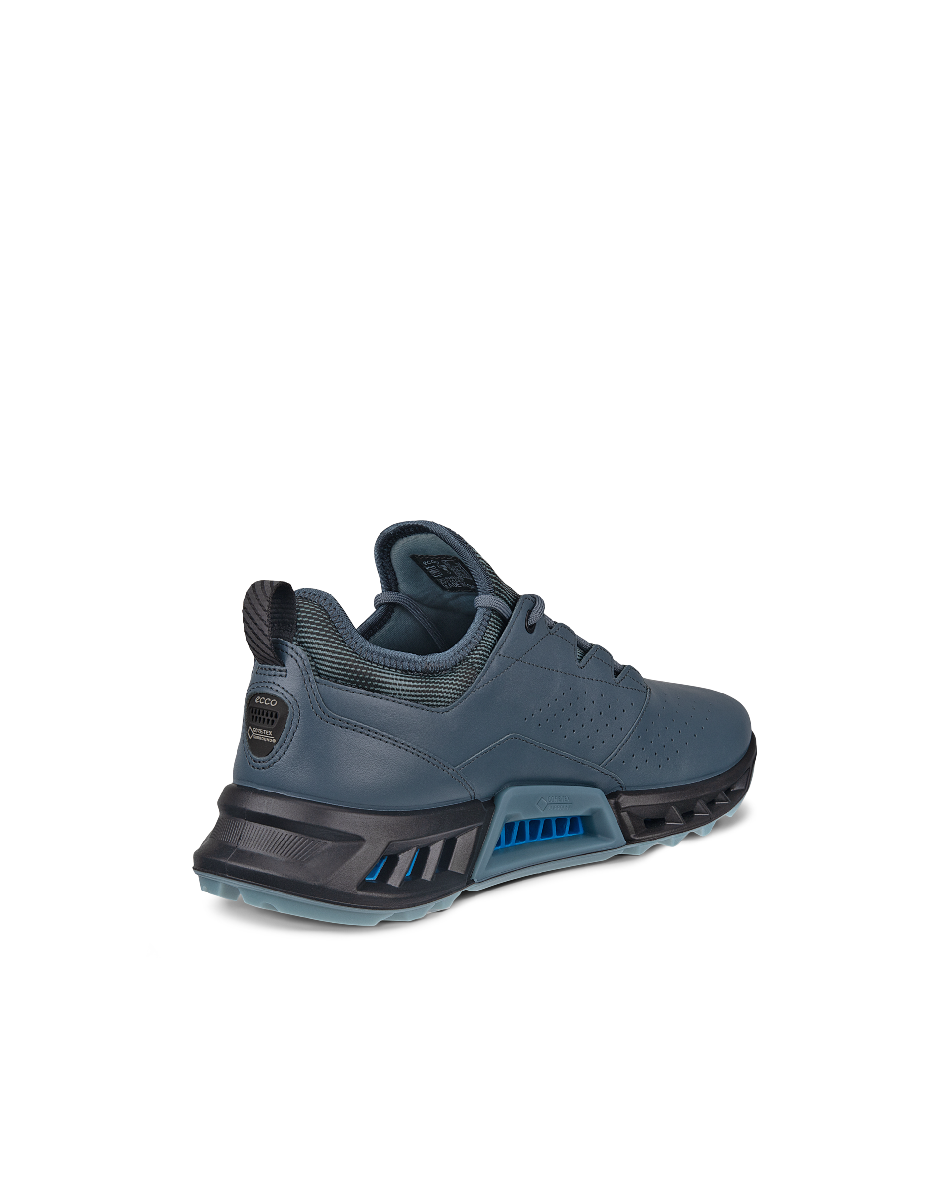 ECCO Golf BIOM C4 Men メンズ レザーGore-Texゴルフシューズ | ブルー