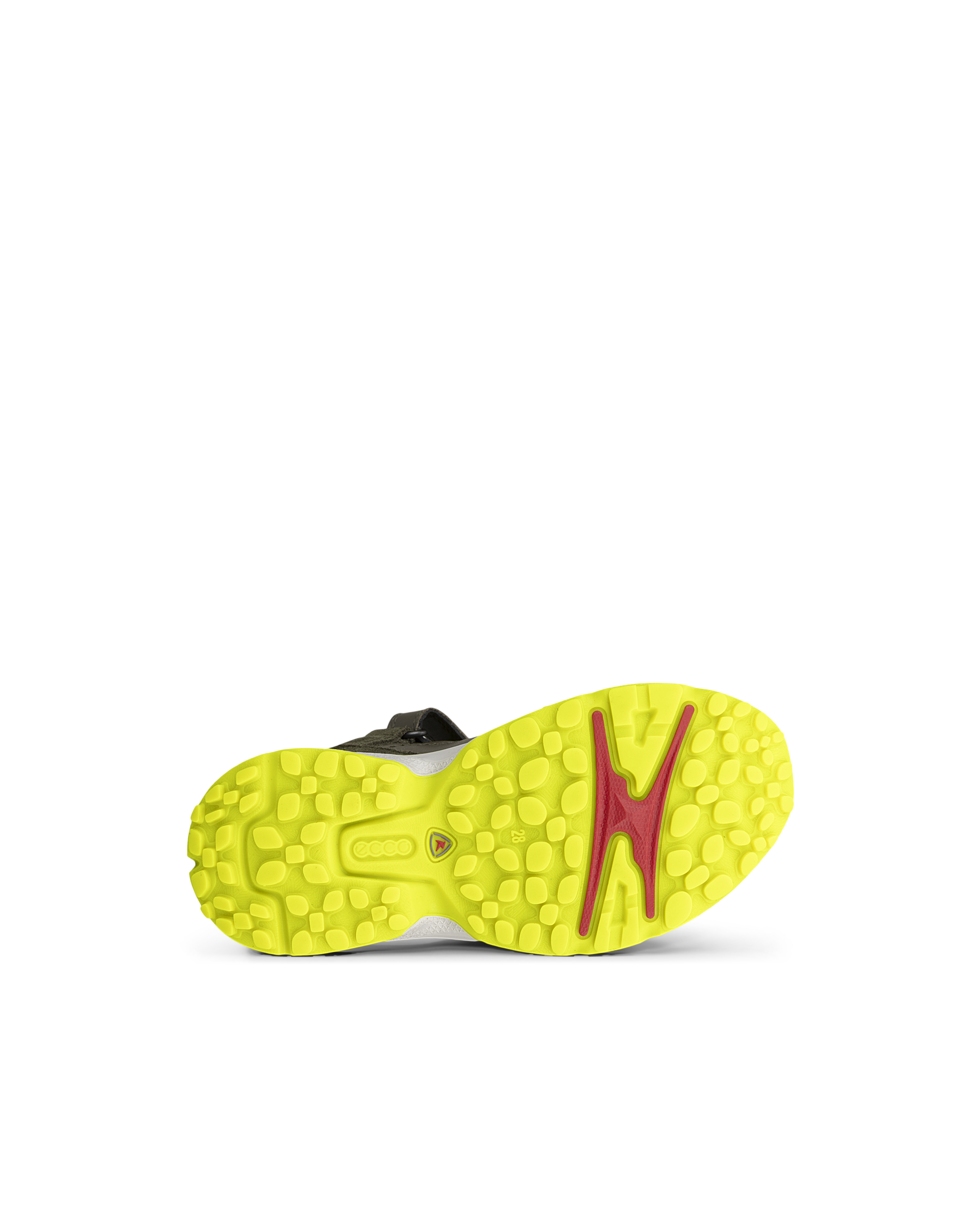 ECCO RECEPTOR XP — Green
