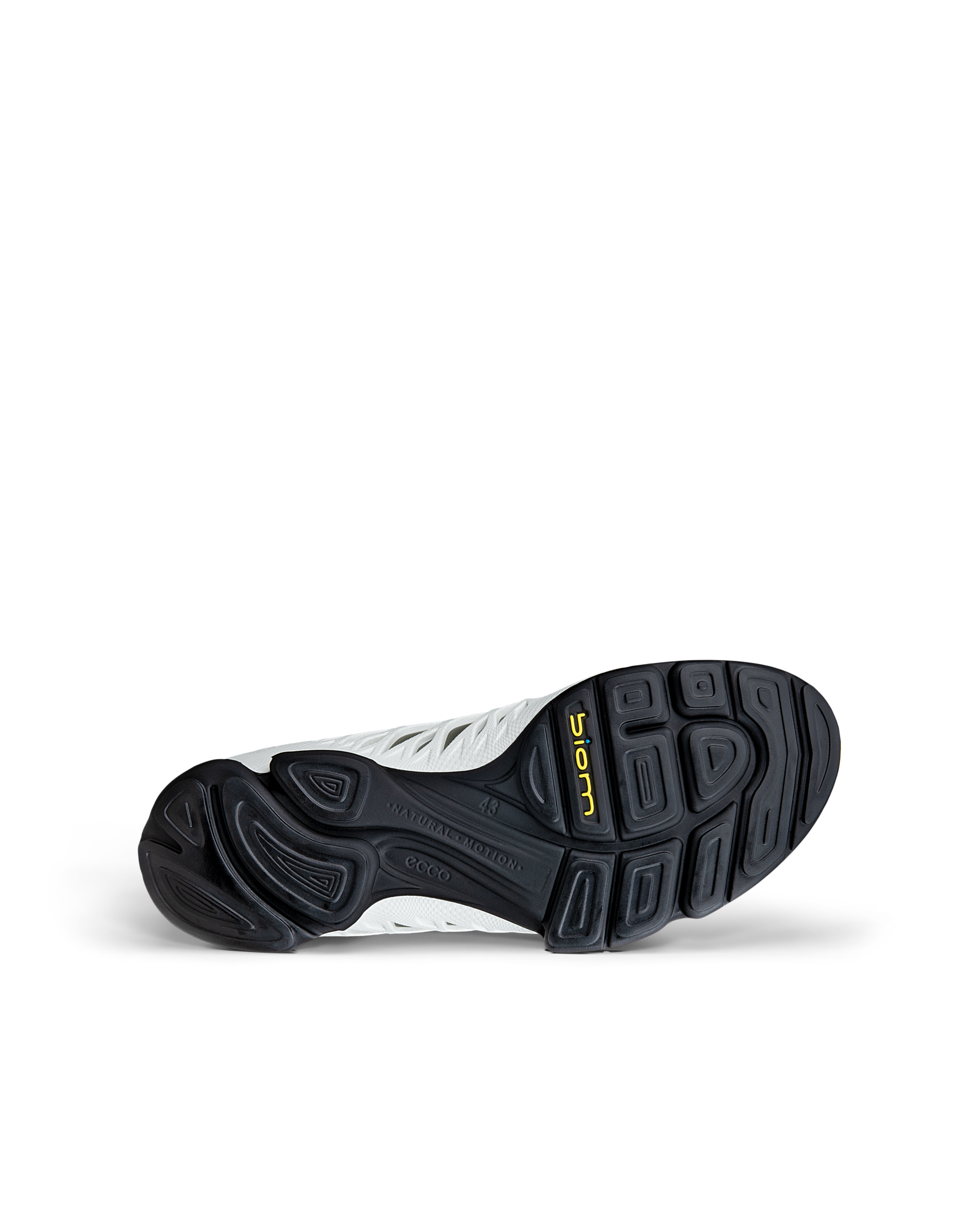 ECCO BIOM AEX — Green