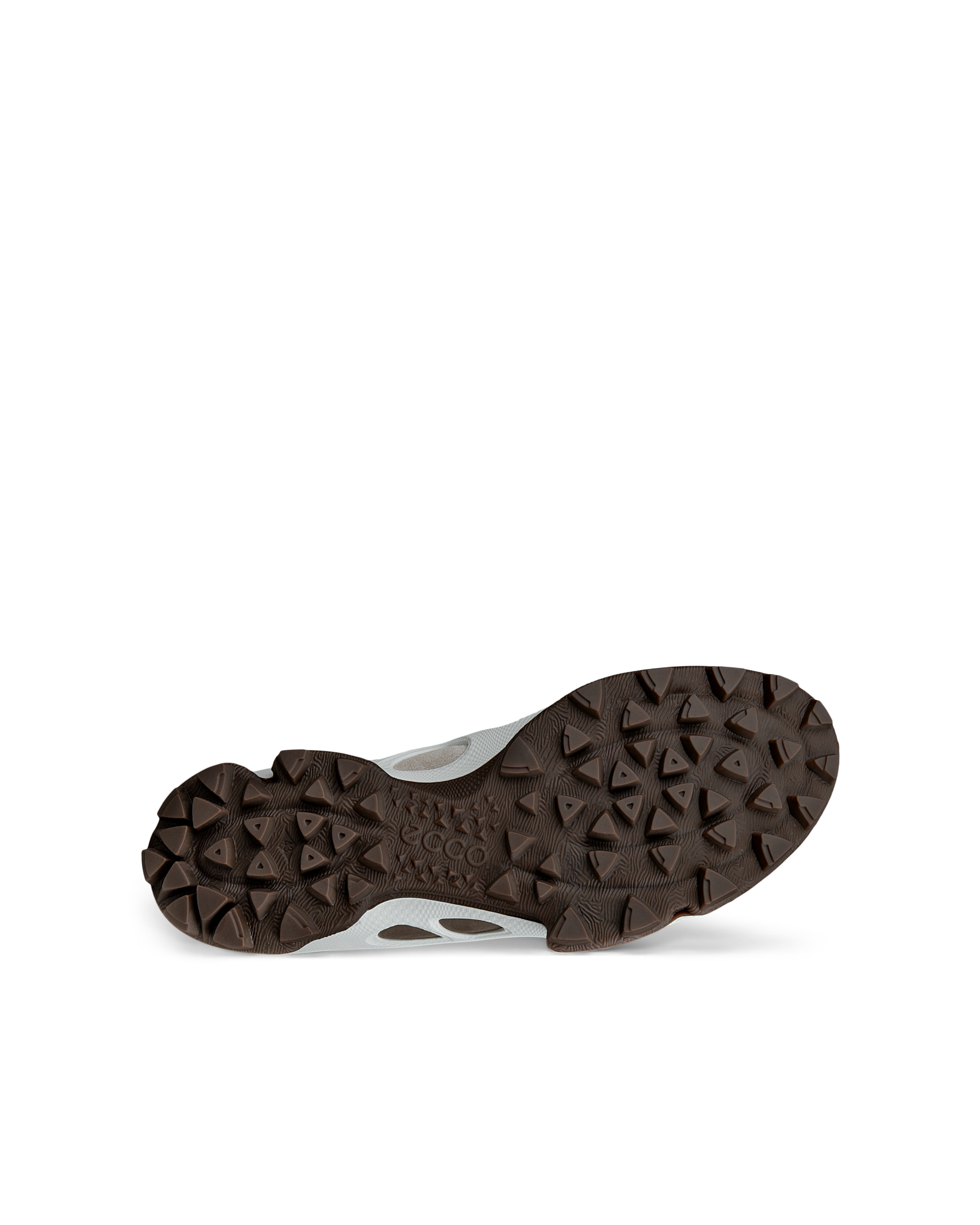 ECCO BIOM C-TRAIL — Brown