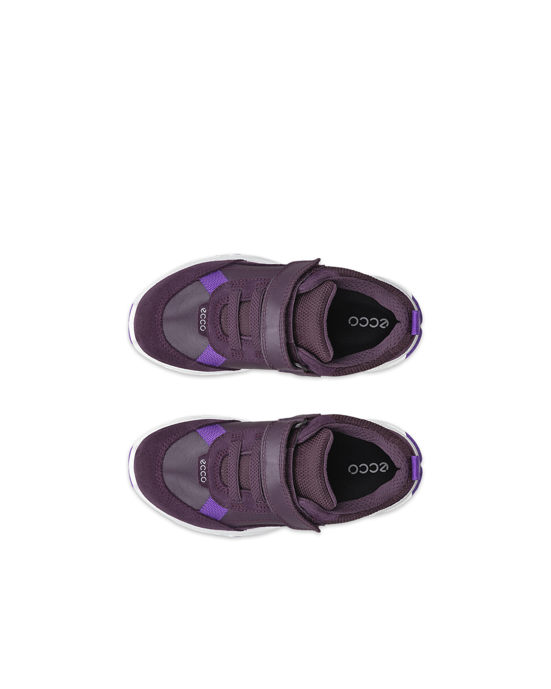 ECCO RECEPTOR XP — Purple