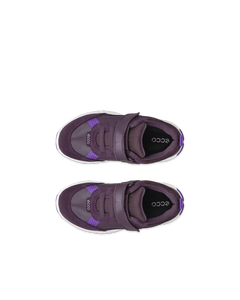 ECCO RECEPTOR XP — Purple 5