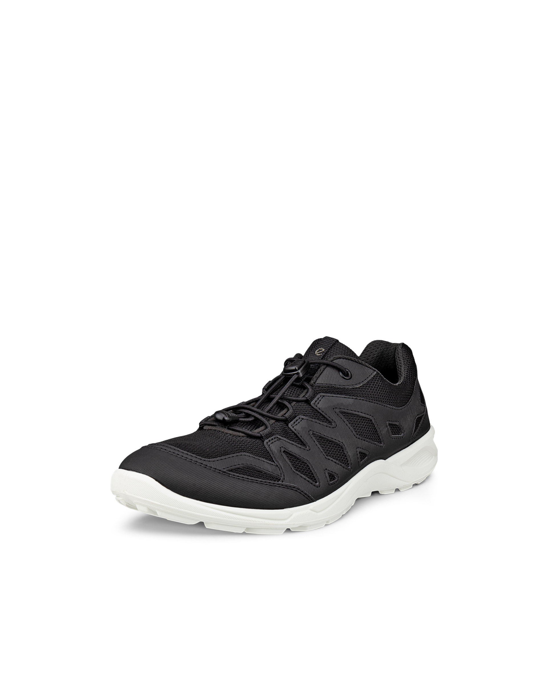 ECCO TERRACRUISE LT — Black