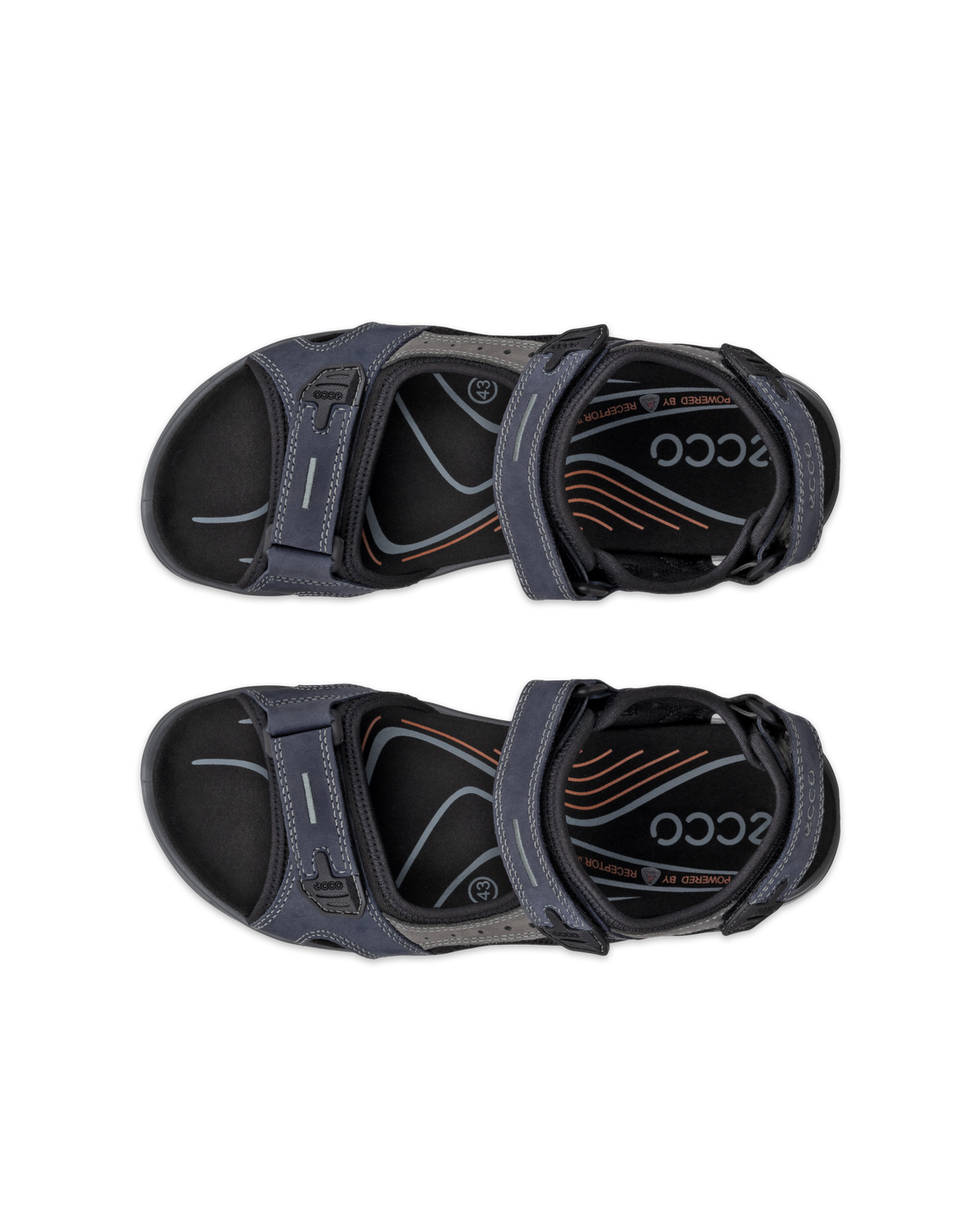 ECCO Offroad — Blue