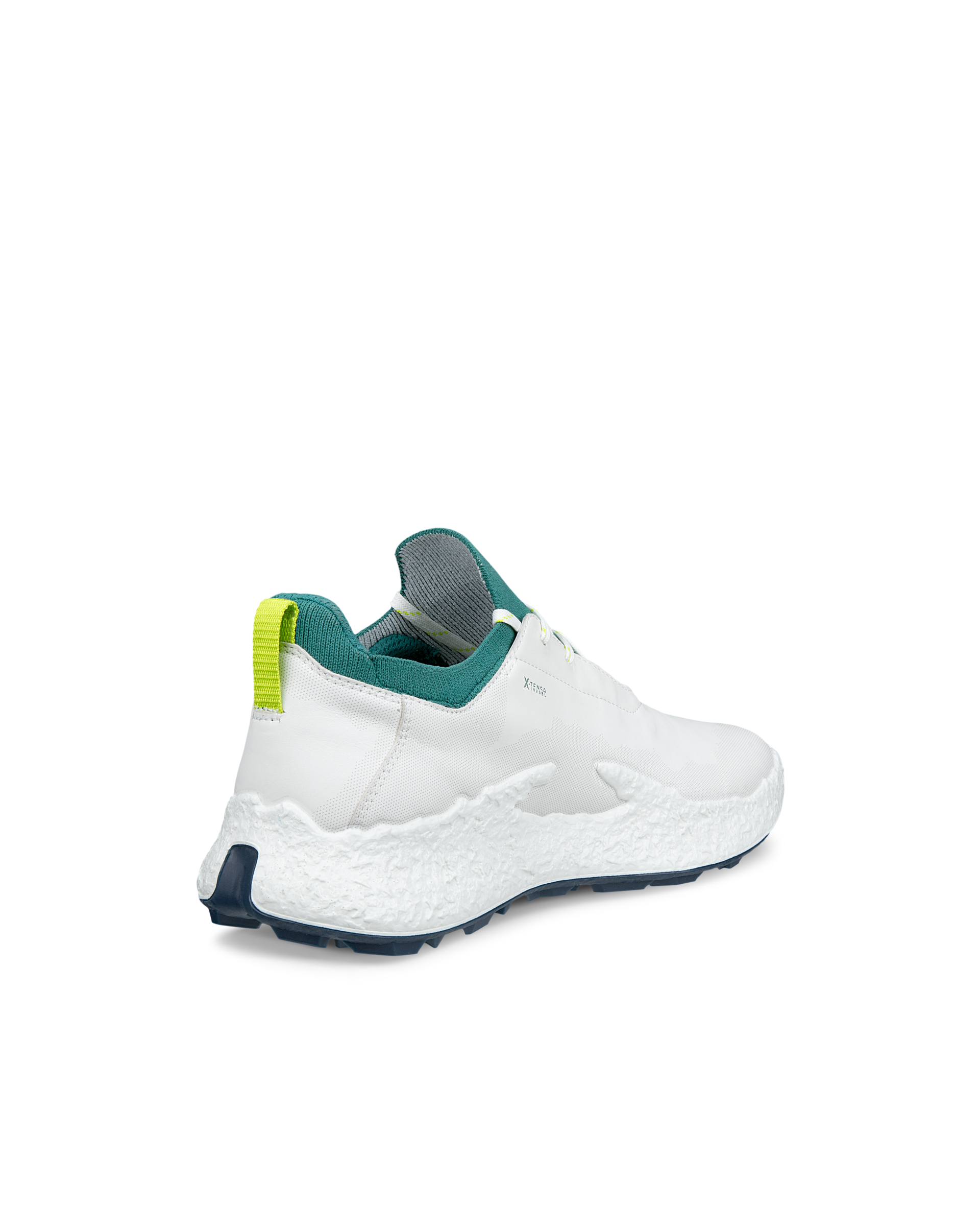 ECCO GOLF BIOM H5 — White