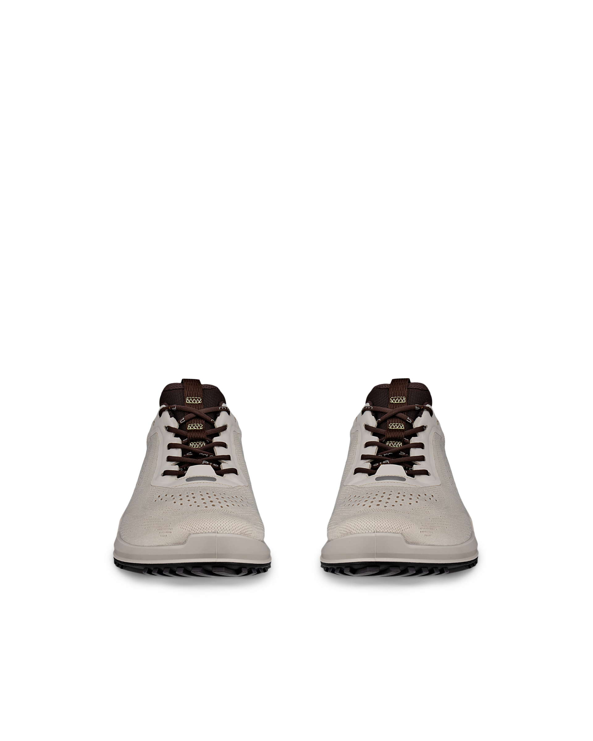 ECCO Biom 2.0 — Gray