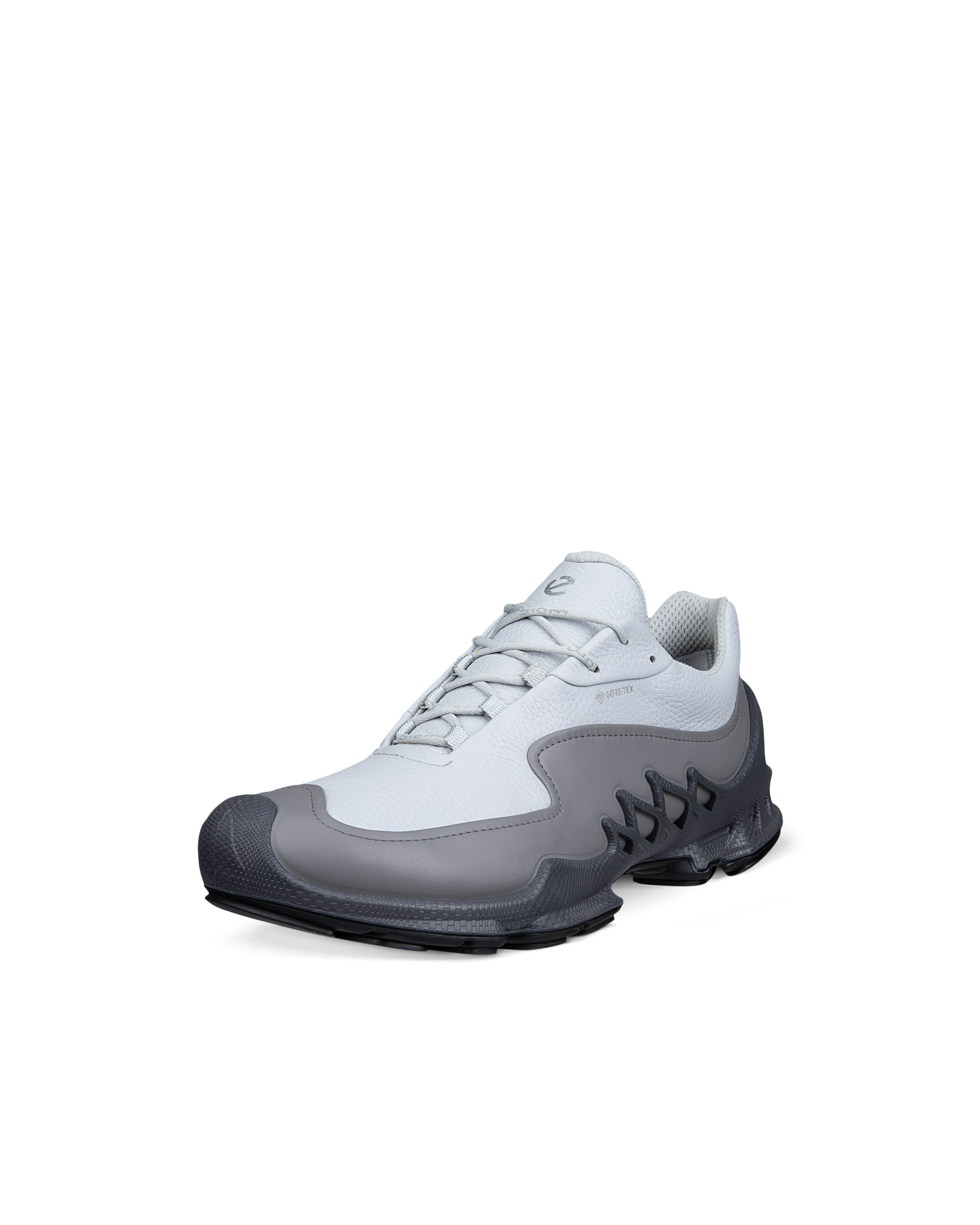 ECCO Biom Aex — Gray