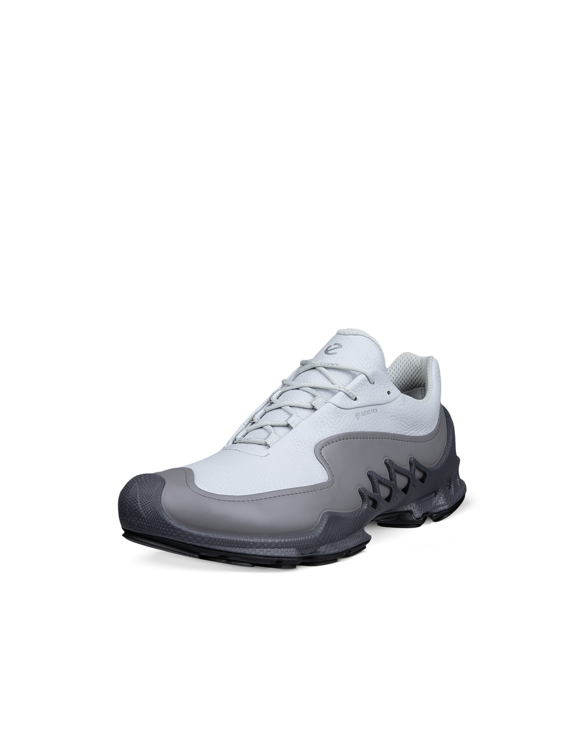 ECCO Biom Aex — Gray