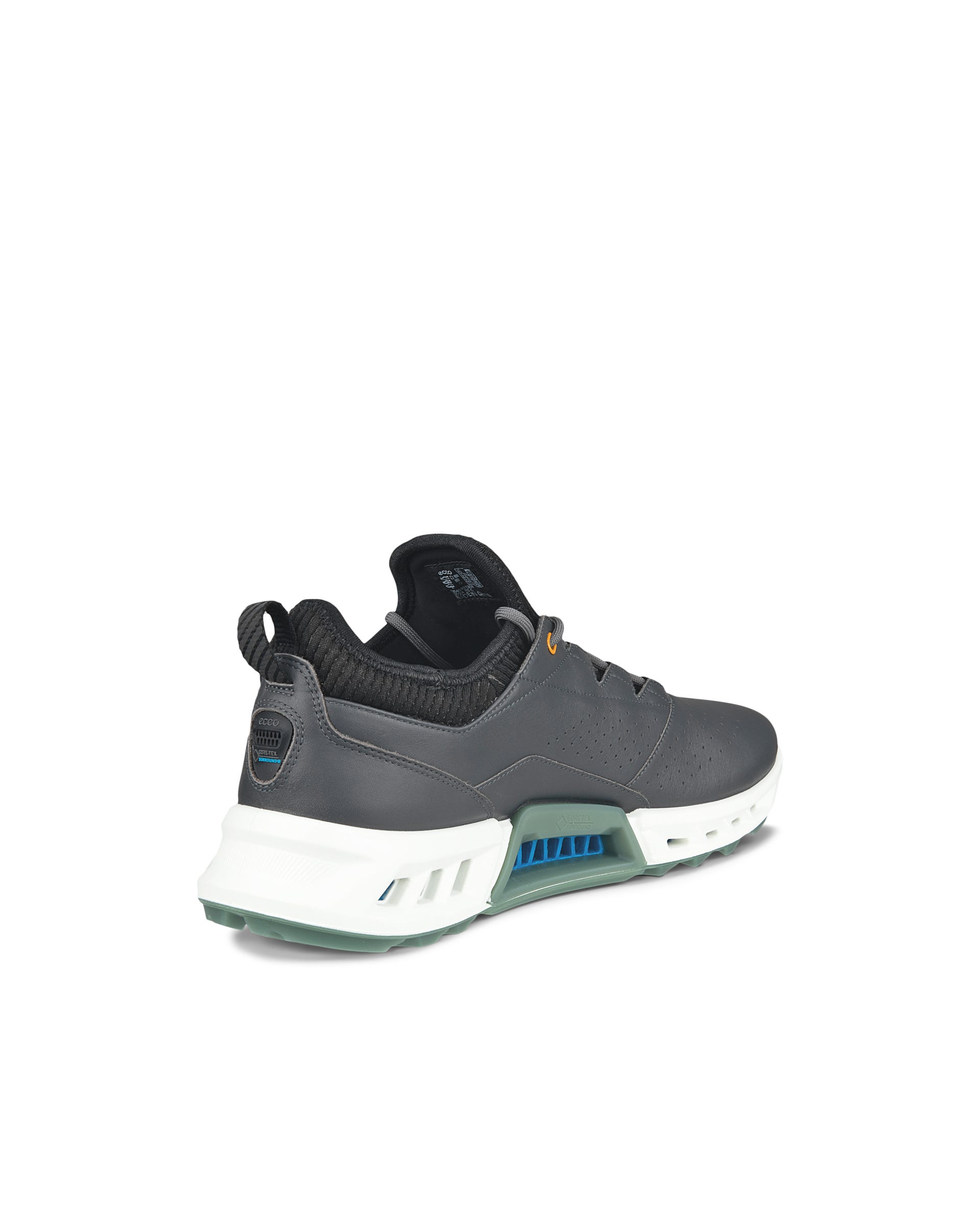 ECCO Golf BIOM C4 Men メンズ レザーGore-Texゴルフシューズ - グレー - Back