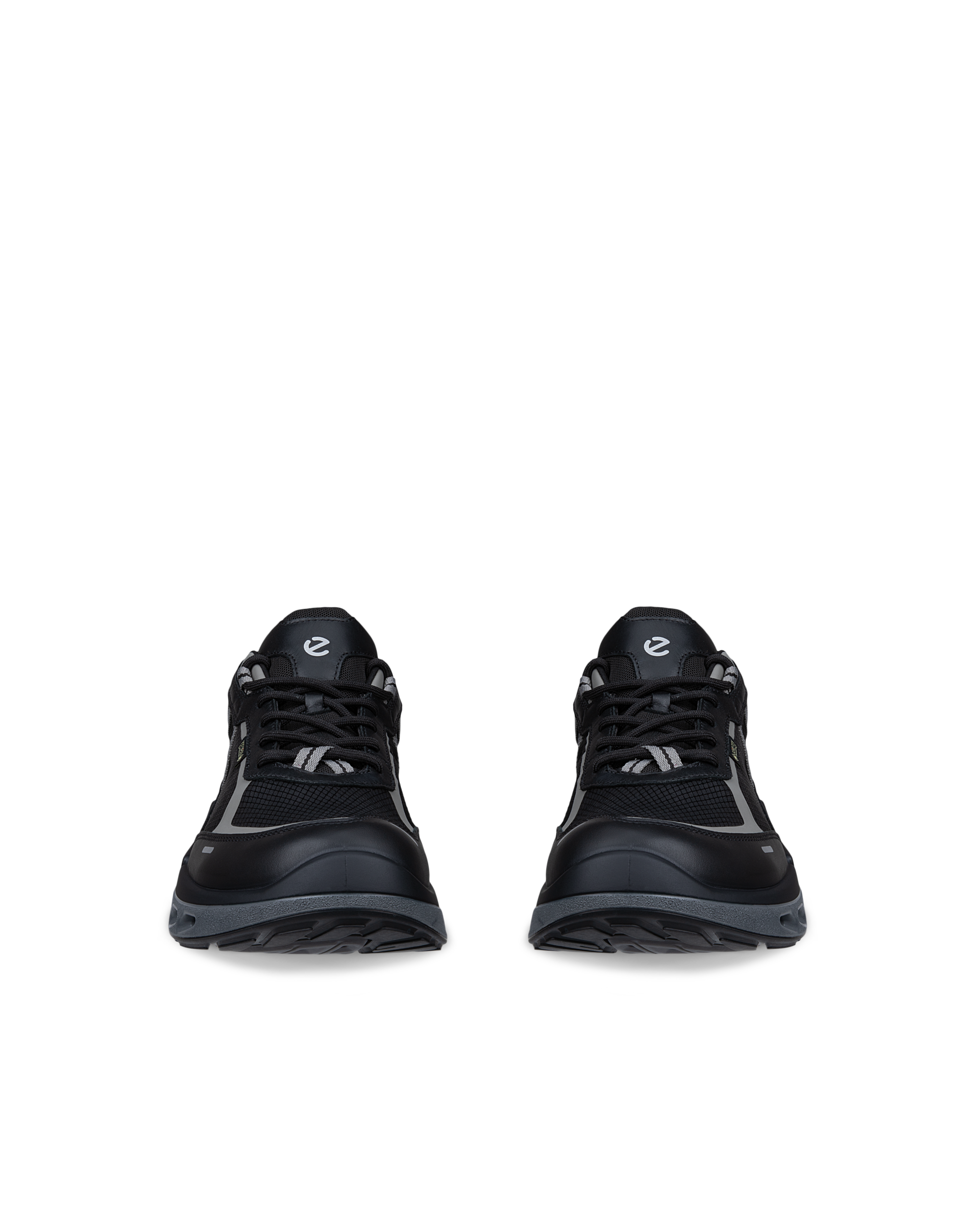 ECCO Biom 720 Gore-Tex — Black