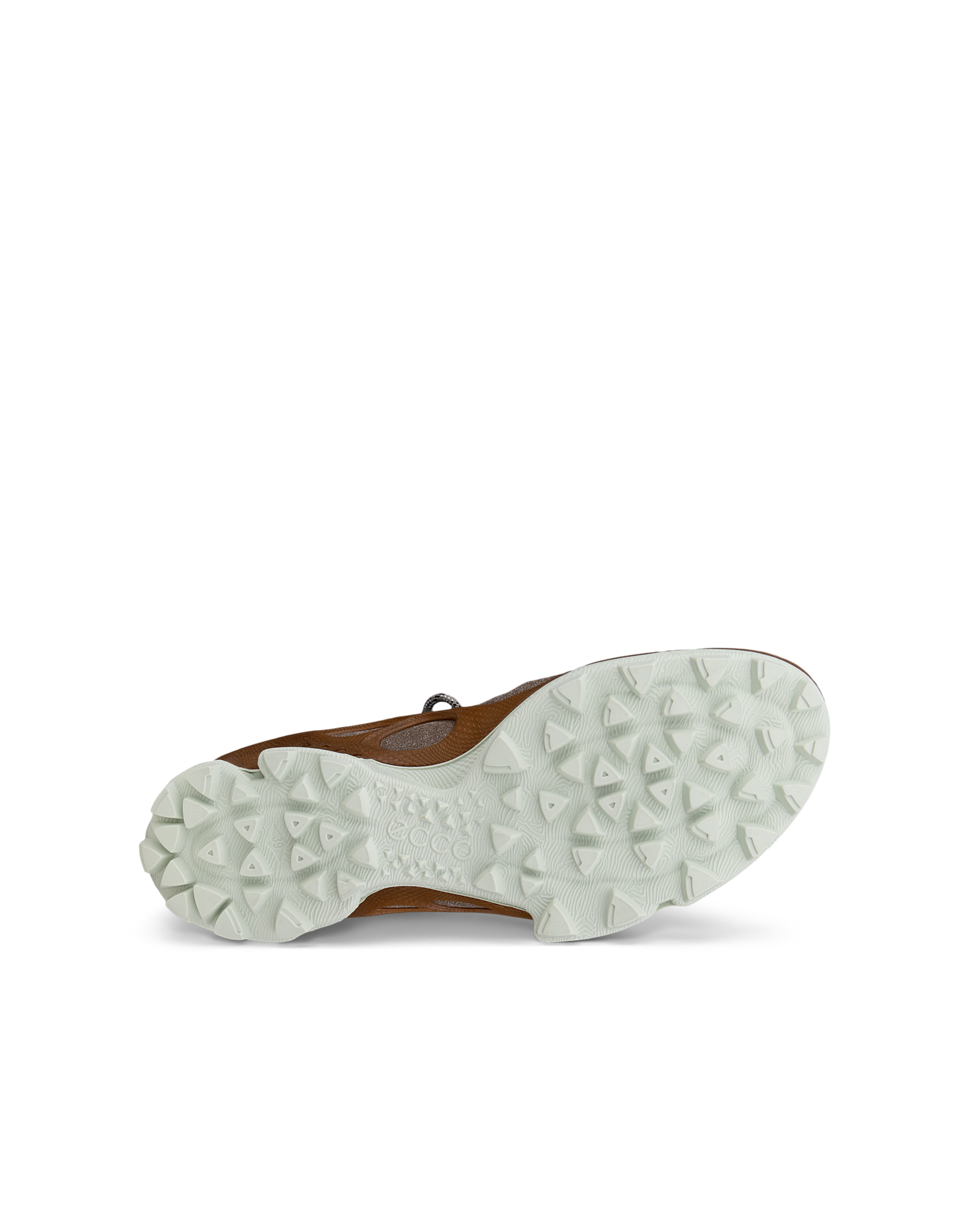 ECCO BIOM C-TRAIL — Brown