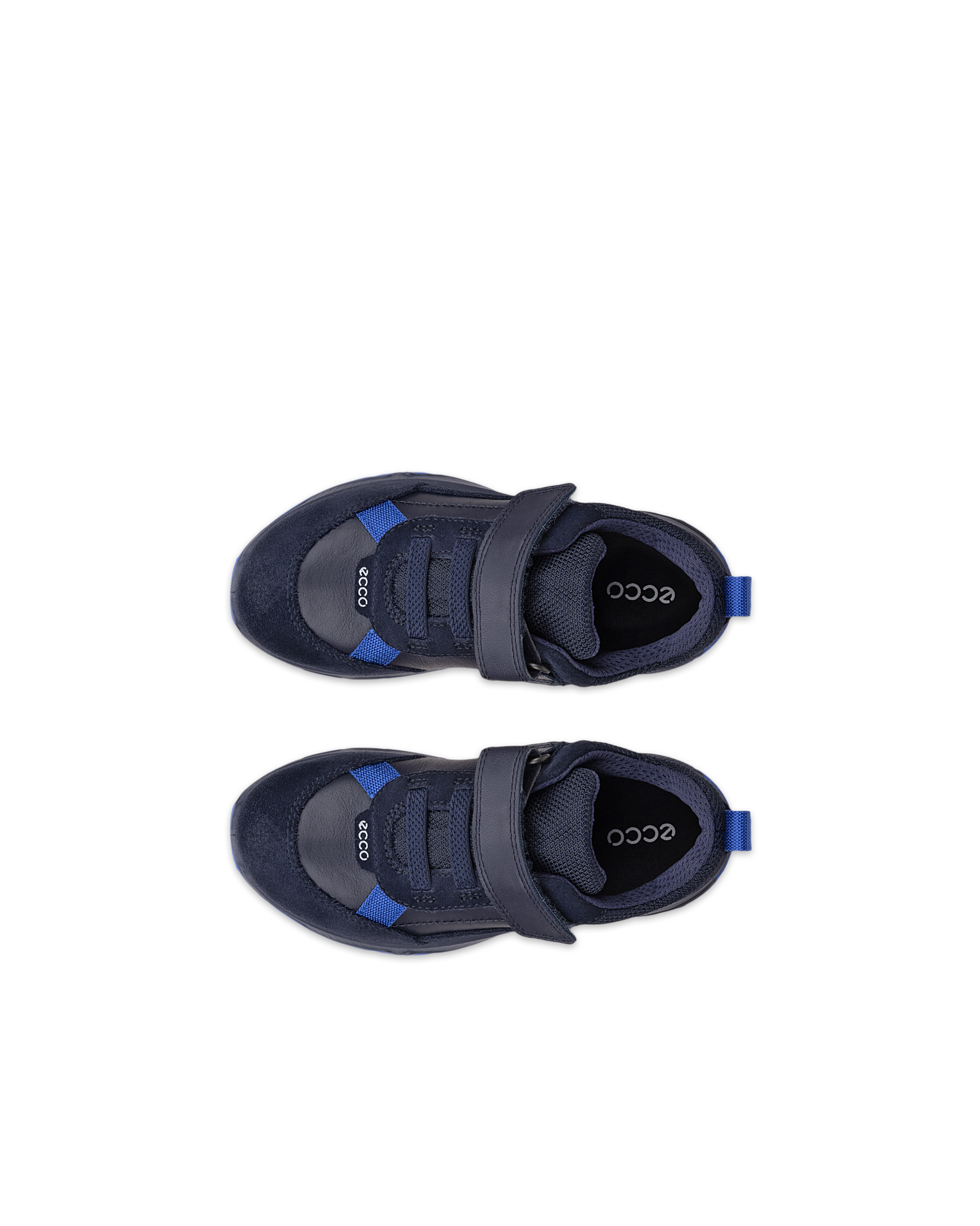 ECCO RECEPTOR XP — Blue